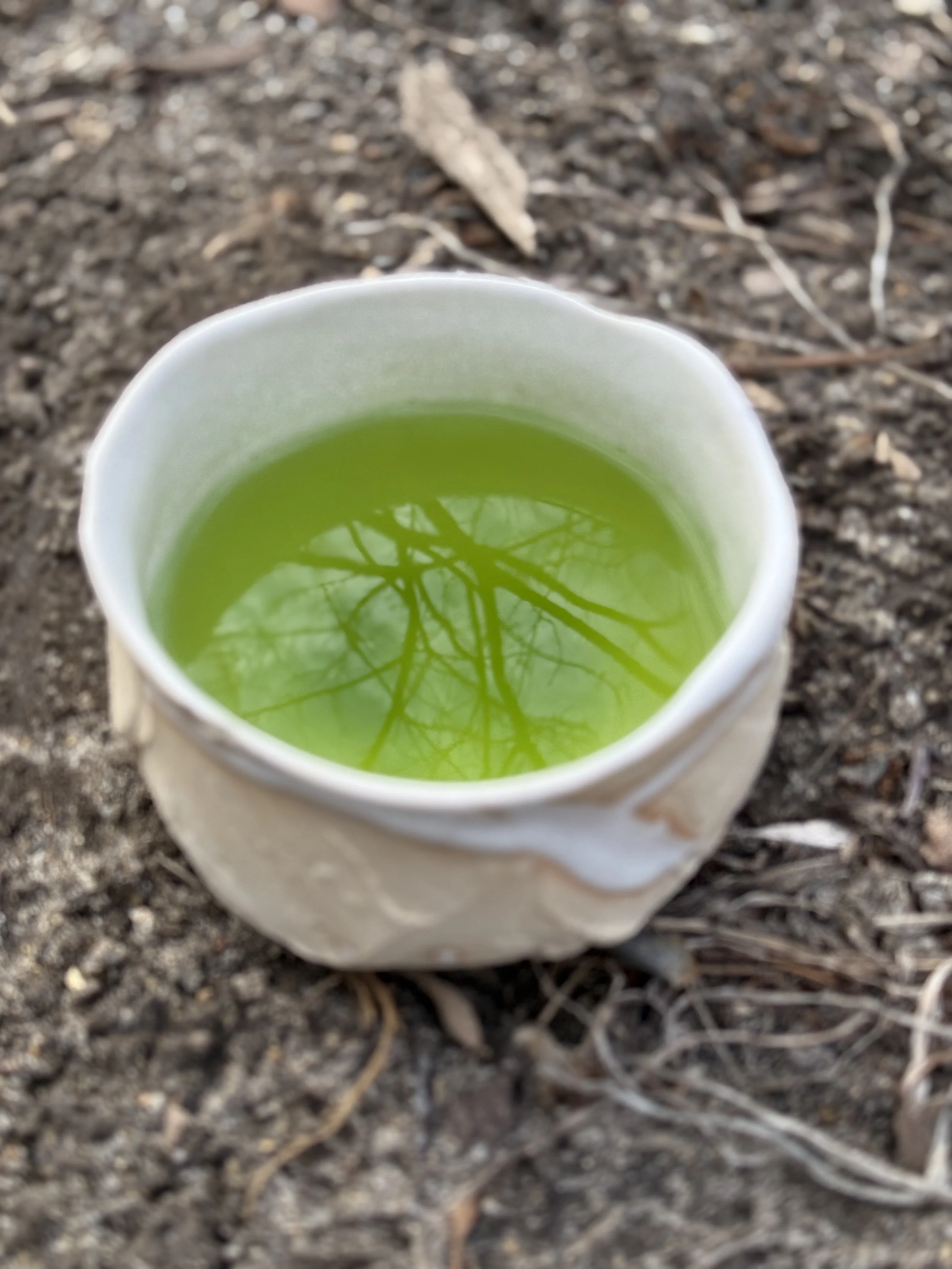 Chinese tea arts and off-grid traditional cooking