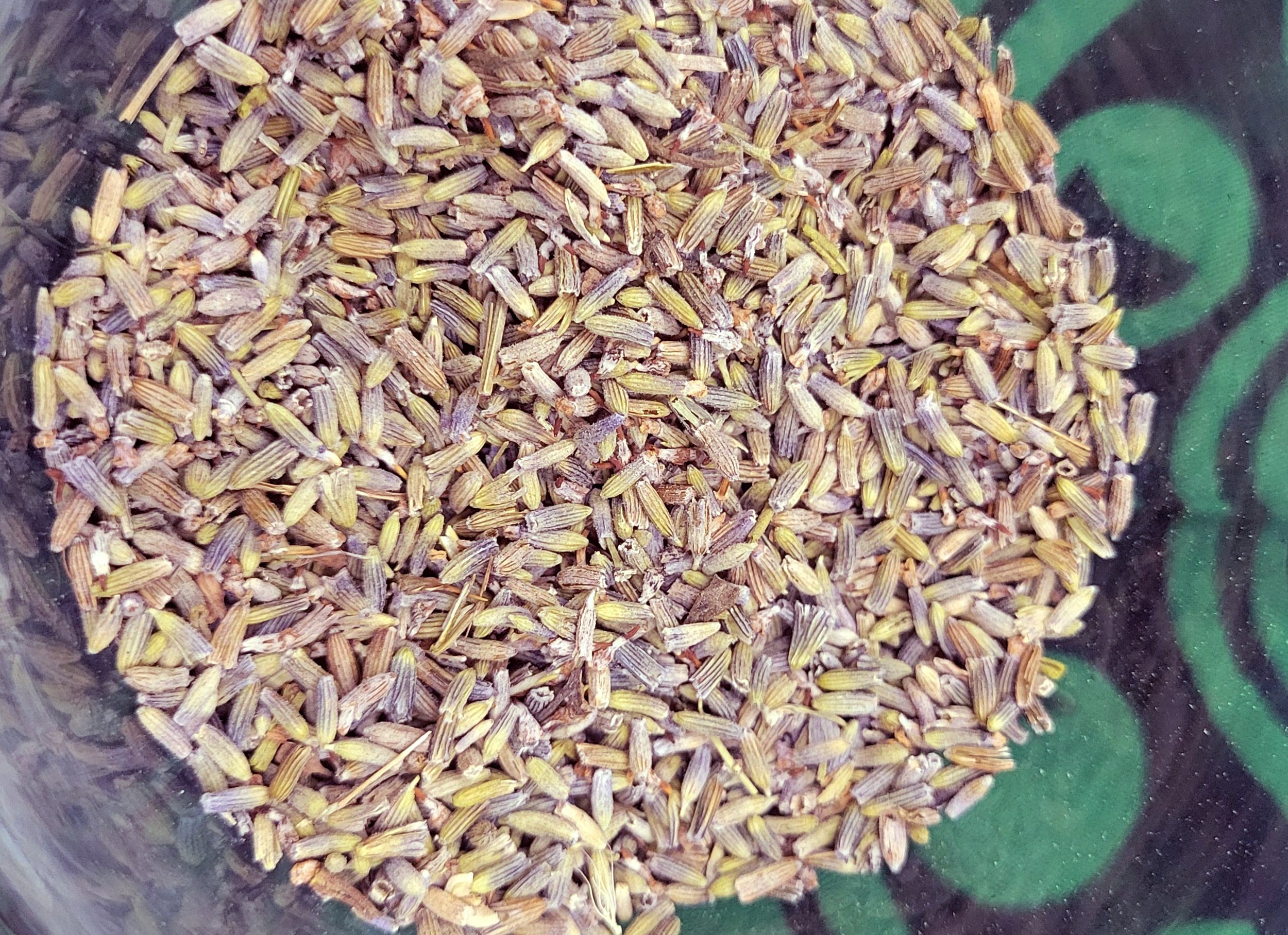 lavender.jpg
