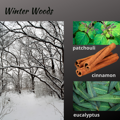 winter+woods.webp
