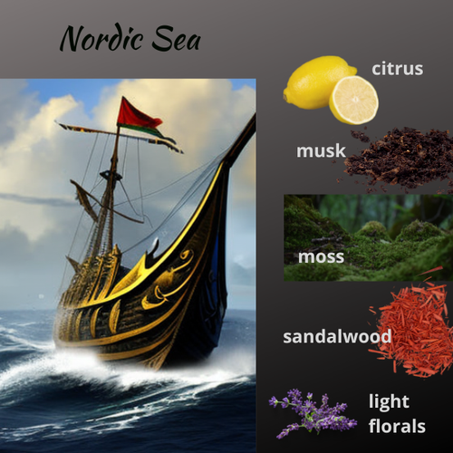 Nordic+sea.webp