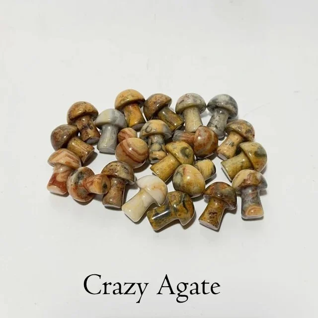 crazy agate mushrooms.jpg