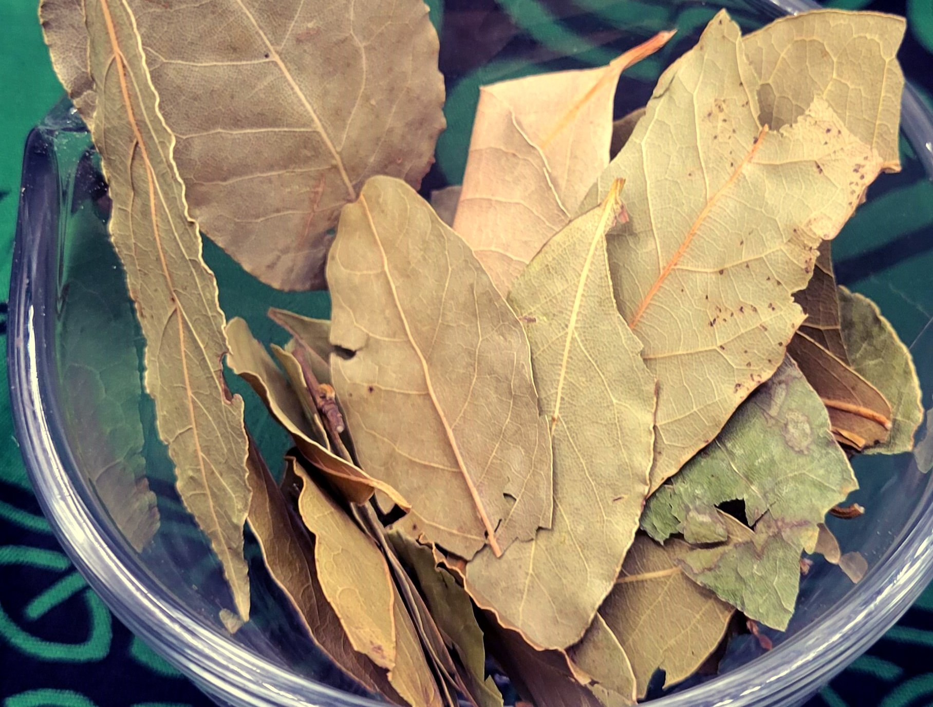 bay leaves.jpg