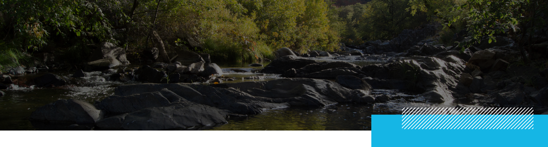 TRP Webpage-Studies — Tuolumne River Partners