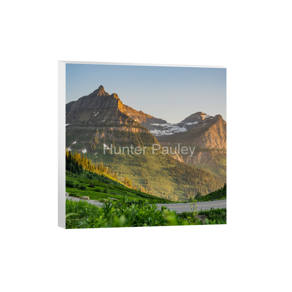 ptq_7_0_0_341_1365_1365_0_false_ffffff_0_0_fbdb6d5aadc2a886d86ed8f166375c7b.png