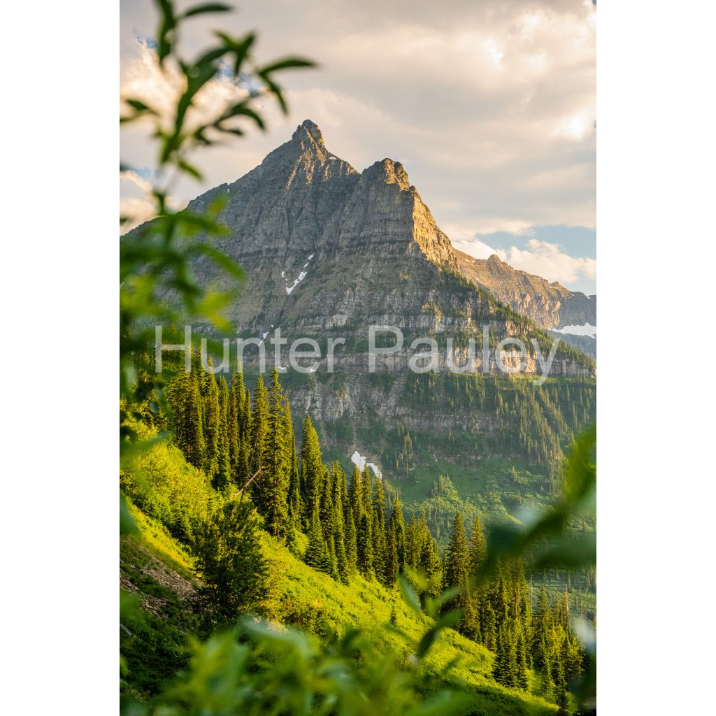 image_original_fbdb6d5aadc2a886d86ed8f166375c7b.png