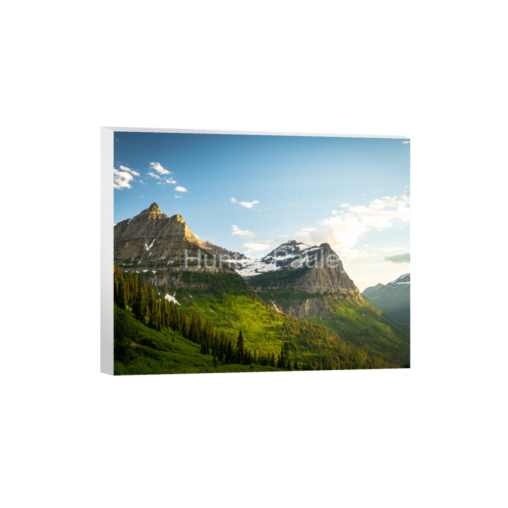 ptq_7_6_170_0_1706_1365_0_false_ffffff_0_0_fbdb6d5aadc2a886d86ed8f166375c7b.png