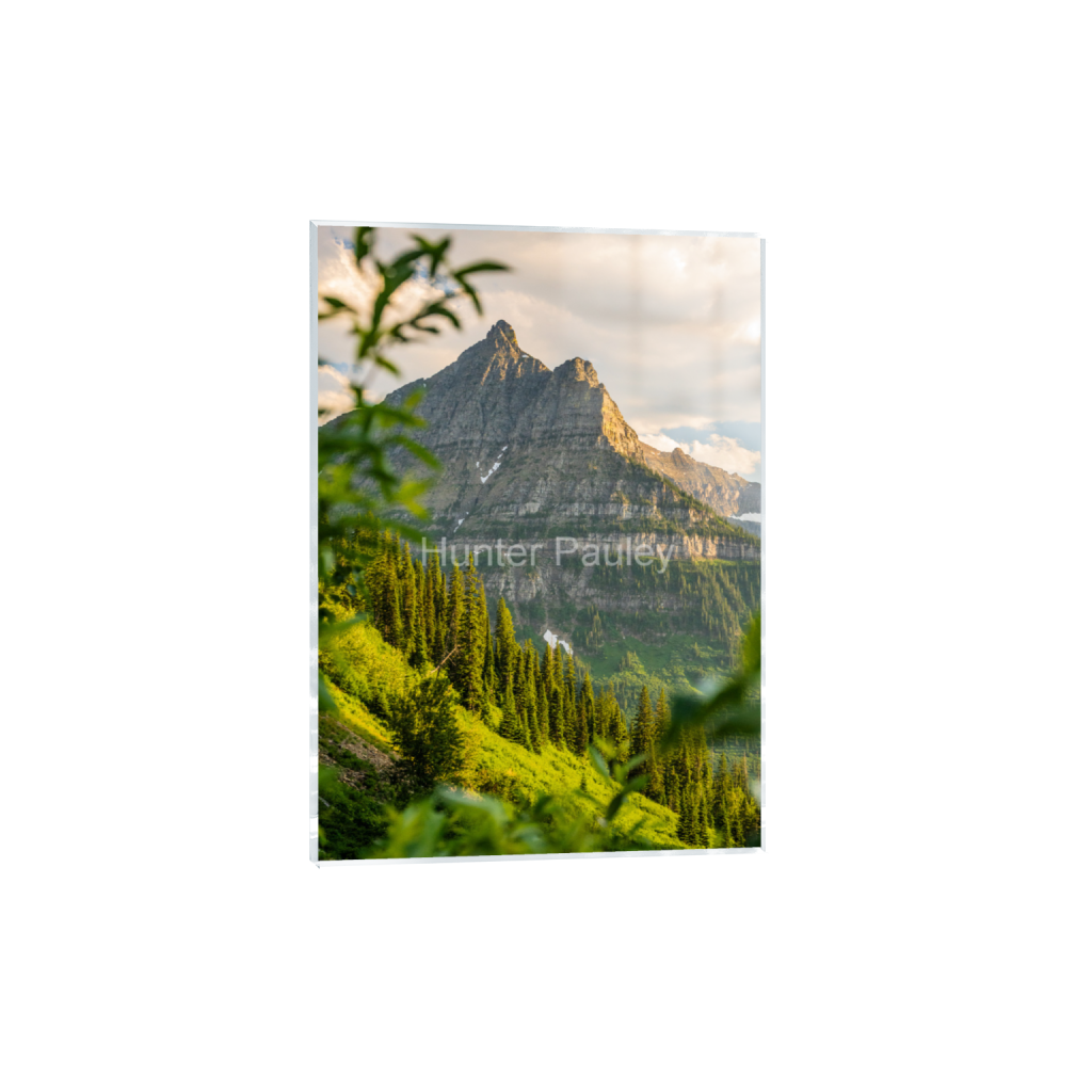 ptq_17_7_0_68_1365_1911_0_false_ffffff_0_0_fbdb6d5aadc2a886d86ed8f166375c7b.png