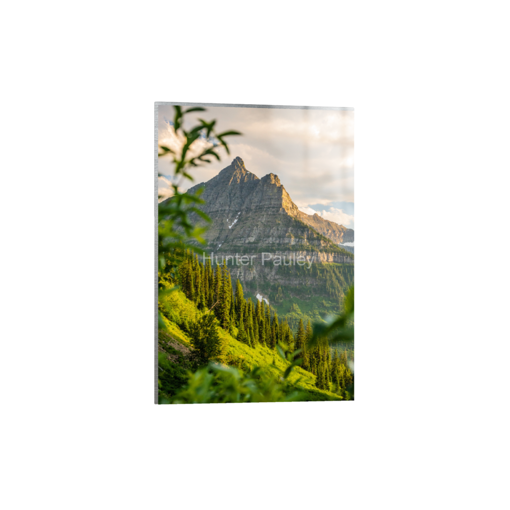 ptq_13_3_0_0_1365_2047_0_false_ffffff_0_0_fbdb6d5aadc2a886d86ed8f166375c7b.png