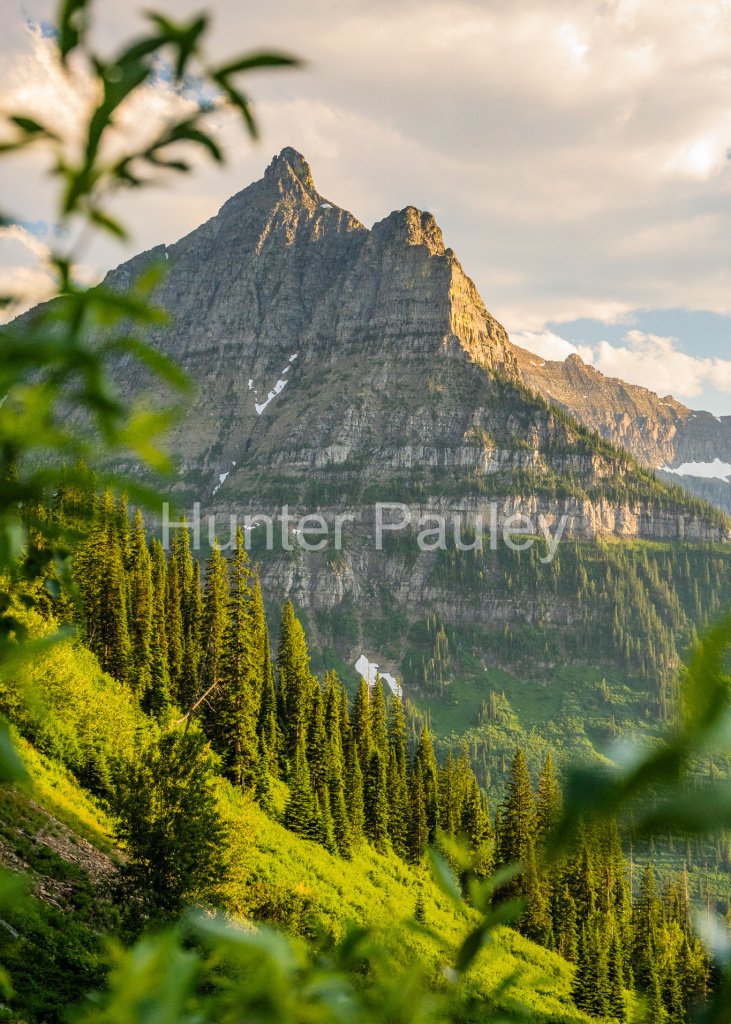 ptq_7_7_0_68_1365_1911_0_false_ffffff_0_0_fbdb6d5aadc2a886d86ed8f166375c7b.png