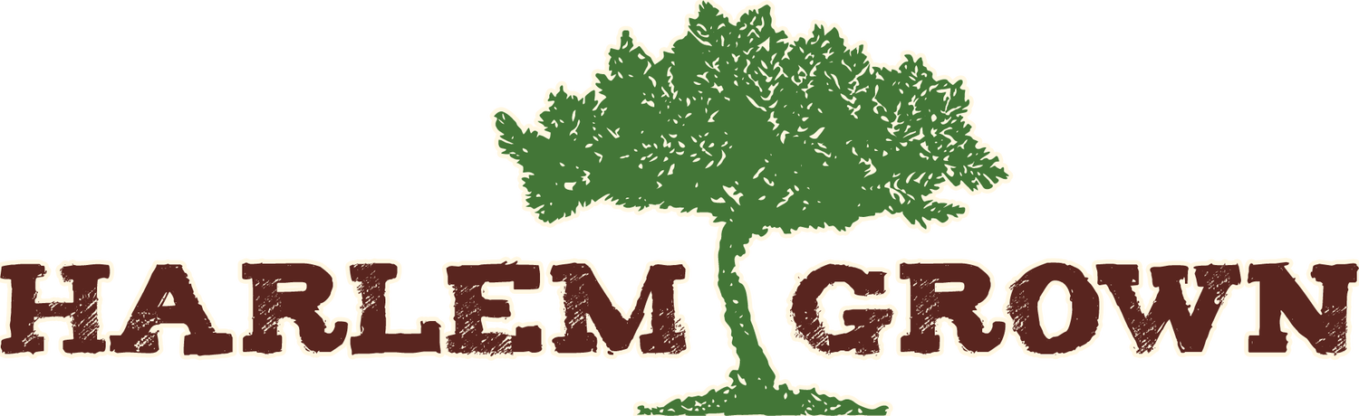 2023+HG+Logo+for+Website.webp