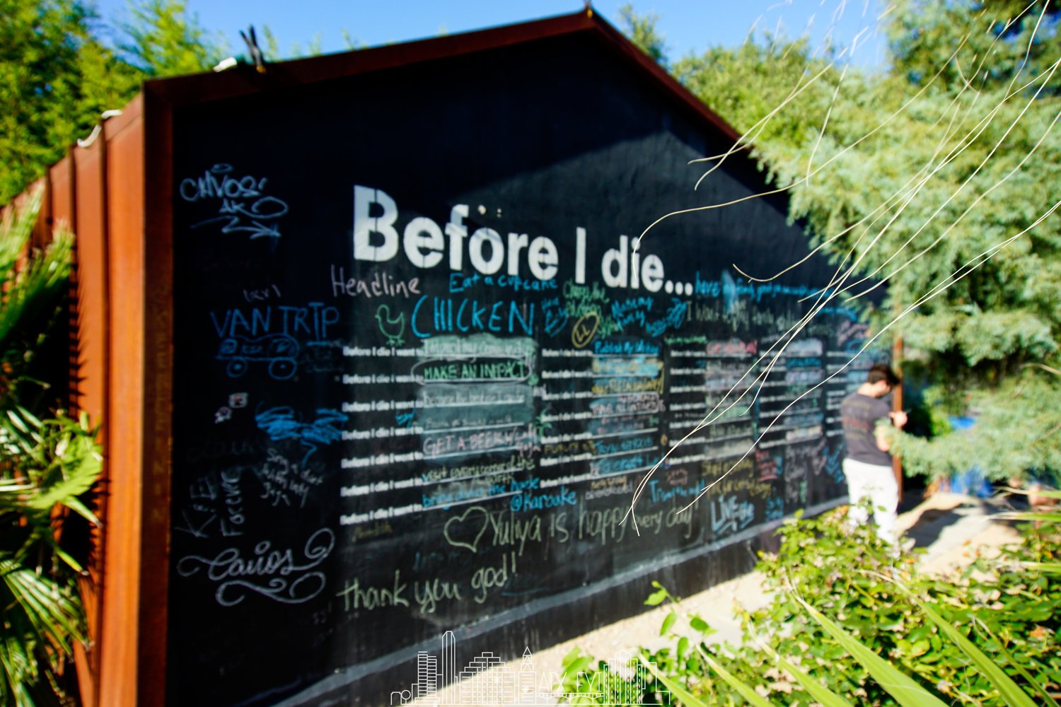 The Austin Mural Tour