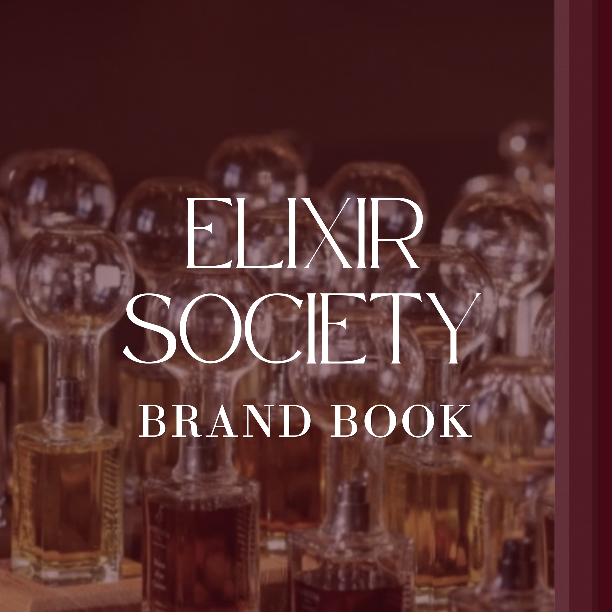 ELIXIR SOCIETY.png