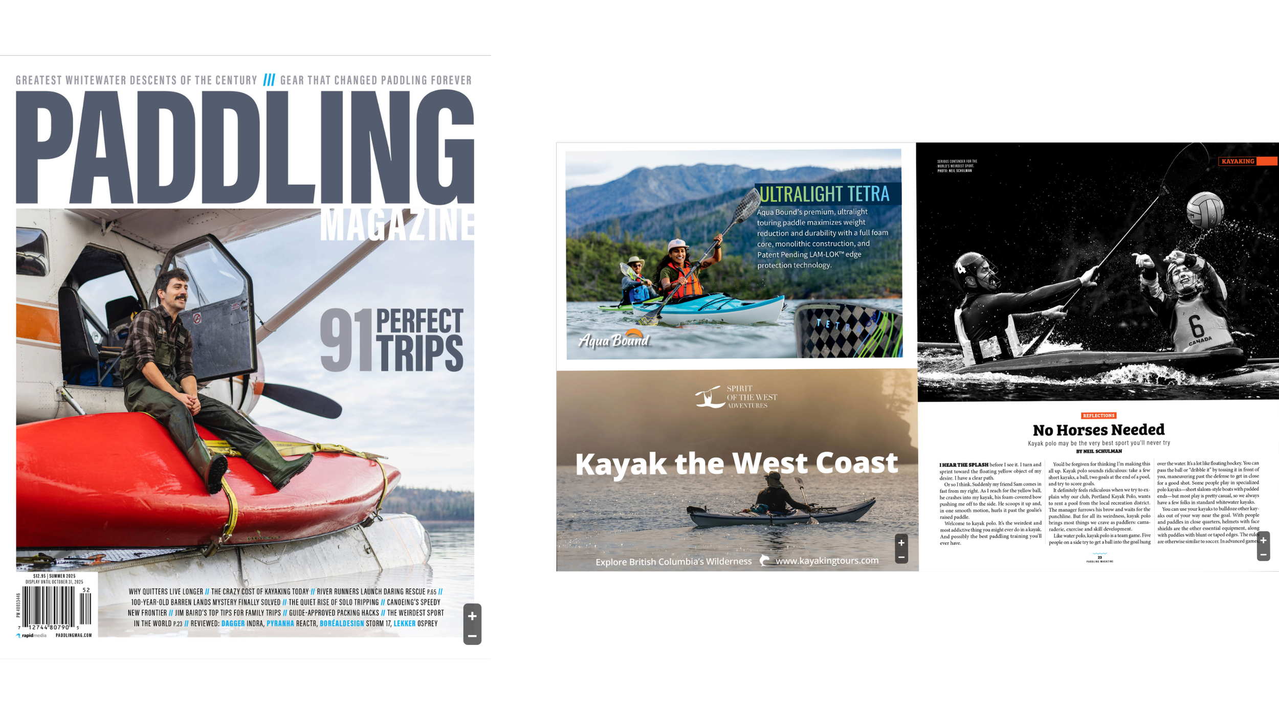 Untitled design (25).png