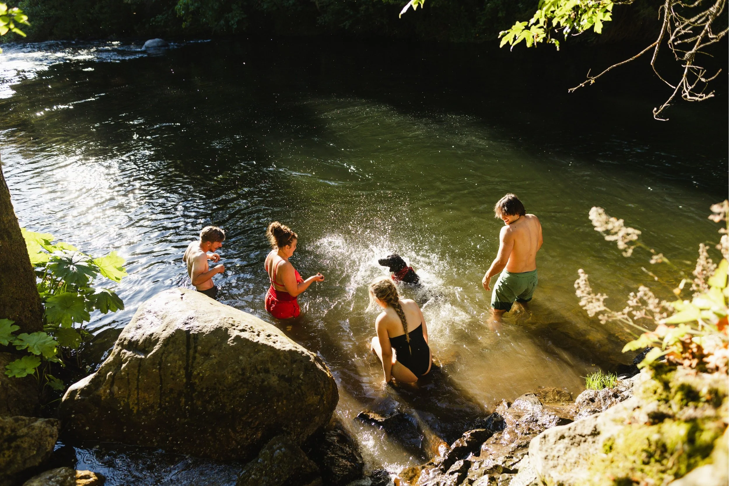 Untitled design (13).jpg