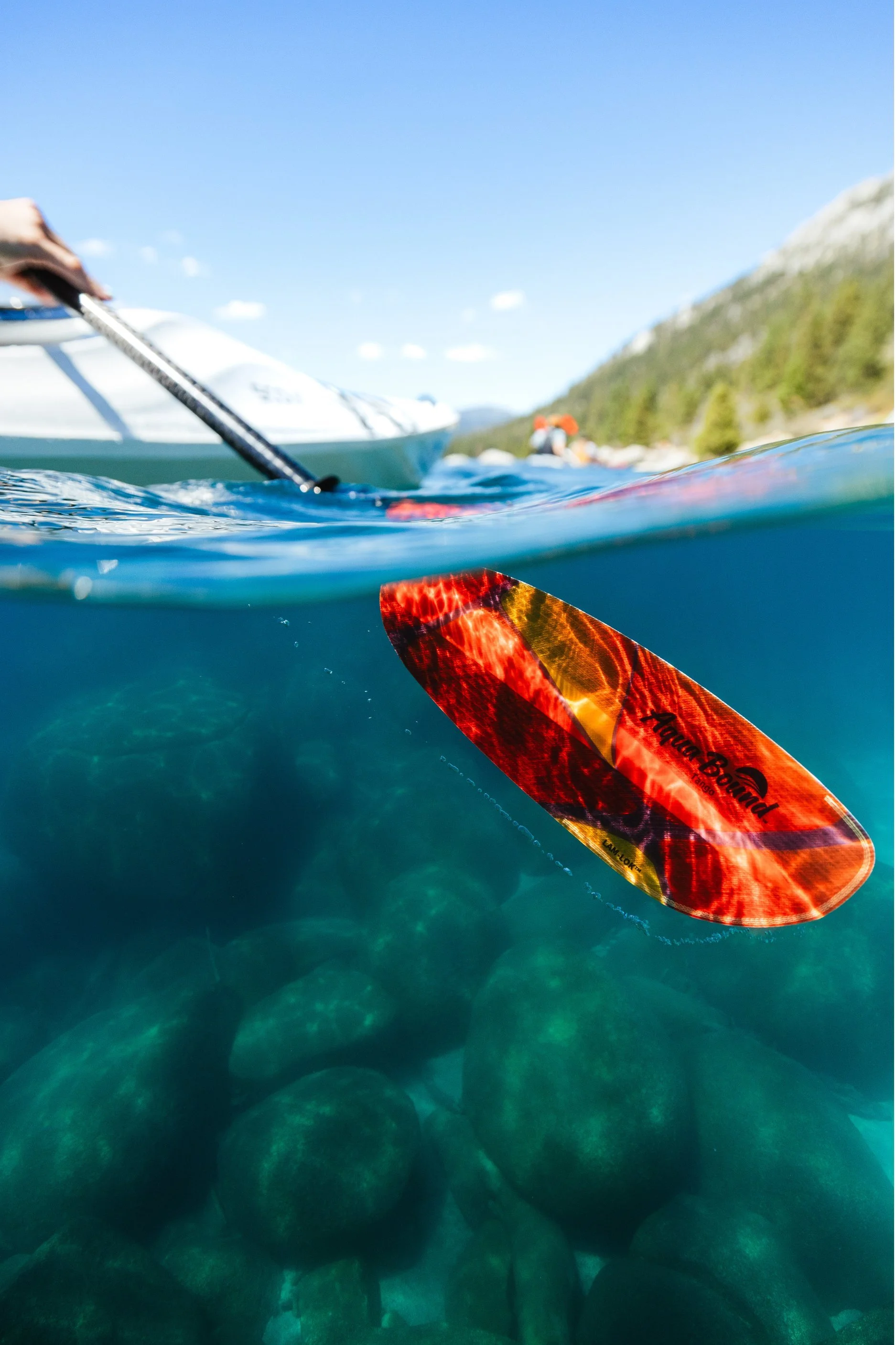 Untitled design (12).jpg