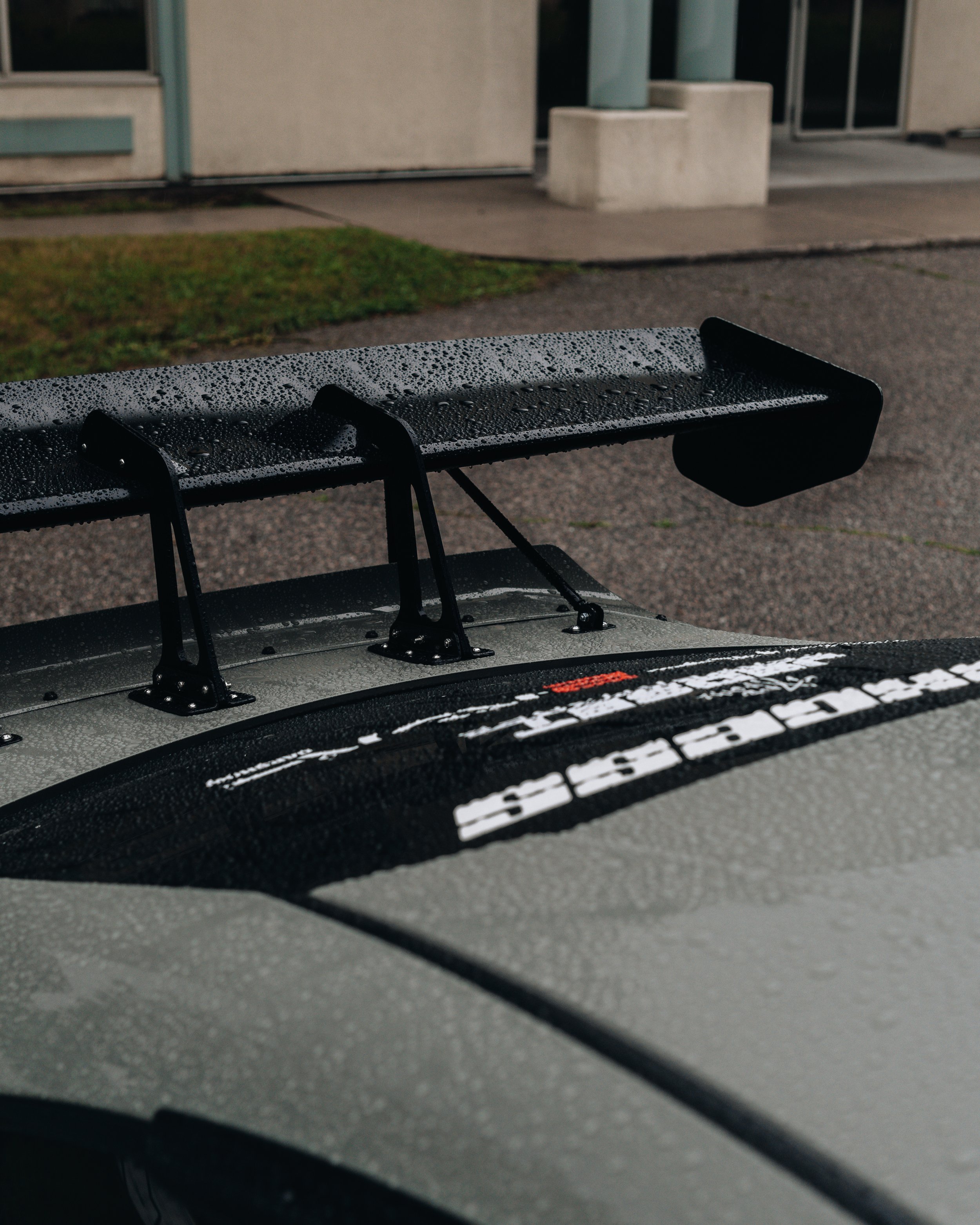 Wing Close - 4x5.jpg