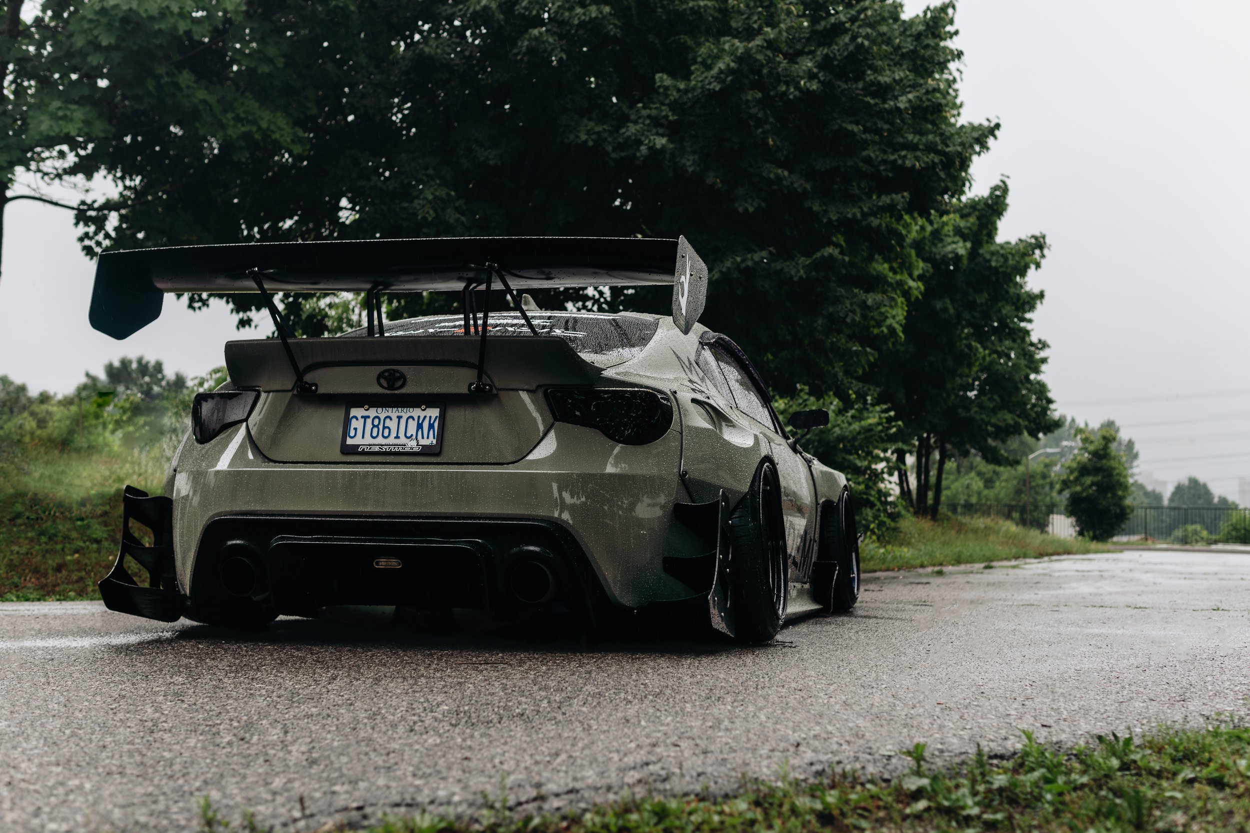 Rear Tree Line - Full.jpg