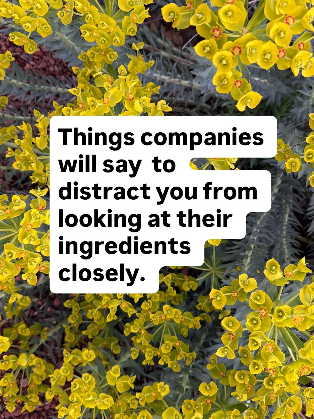 Please share this information far and wide. Tag someone you care about below. 

I see time and time again, low tox &ldquo;newbies&rdquo; are easily duped my claims that don&rsquo;t mean anything. They inadvertently trust greenwashing companies and th