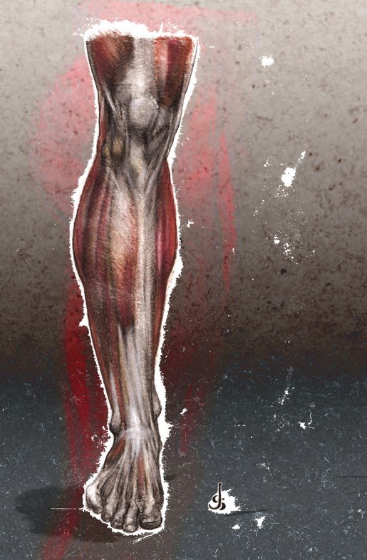 Leg_Study_02-web.jpg