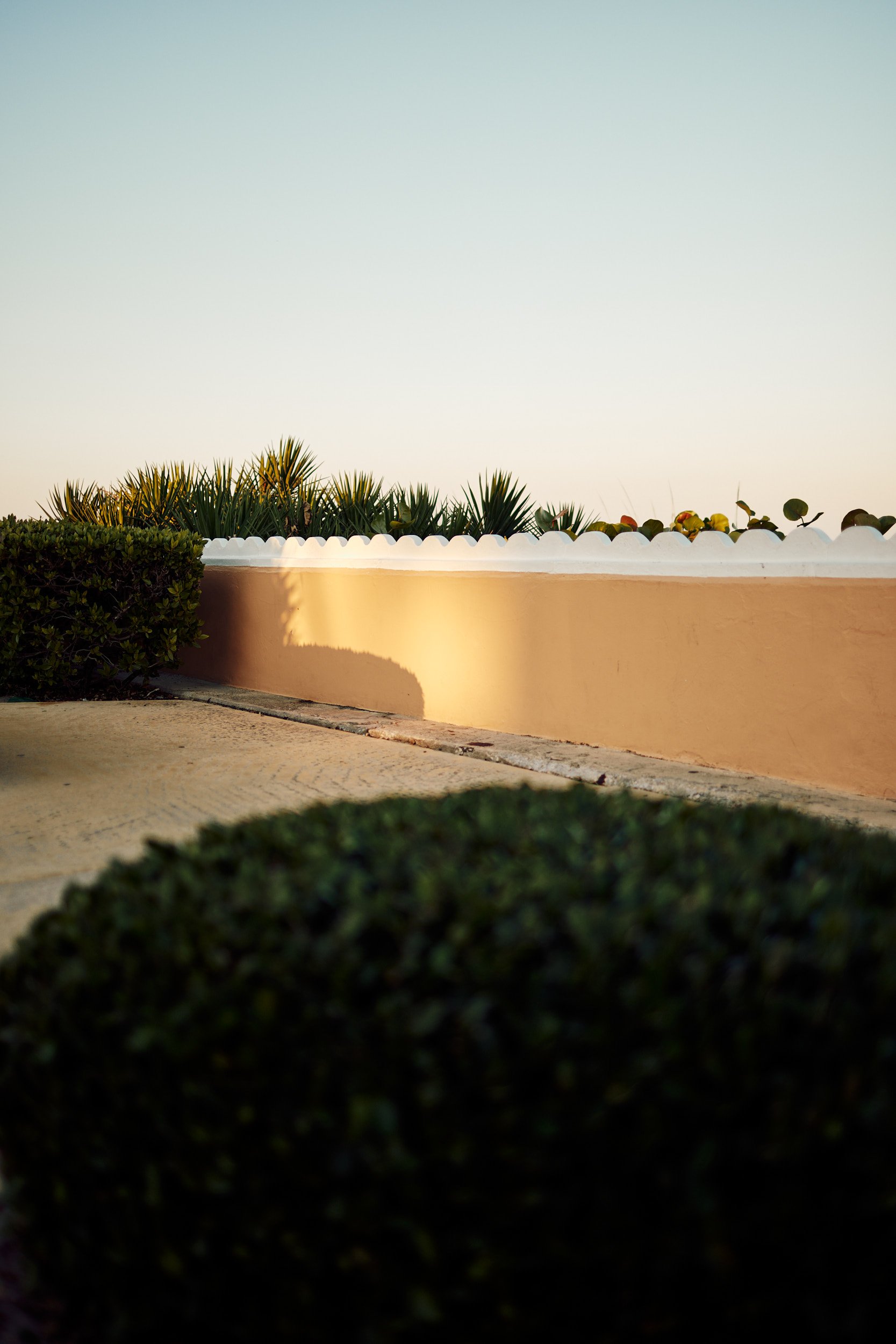 _T6A8391_WEB 1.jpg