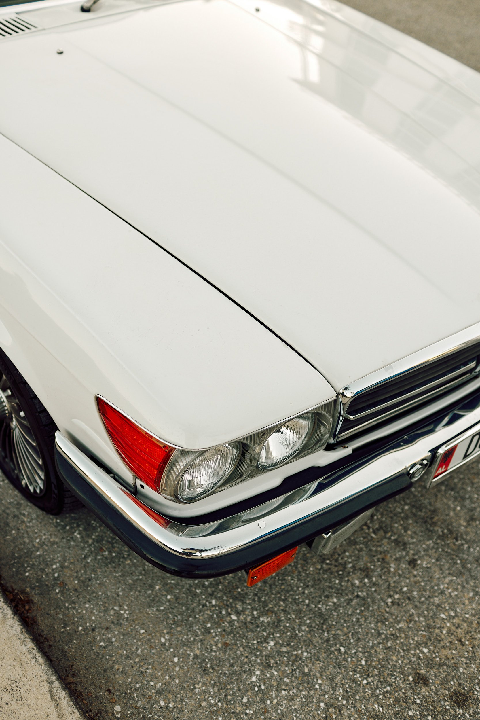 _T6A8336_WEB 1.jpg