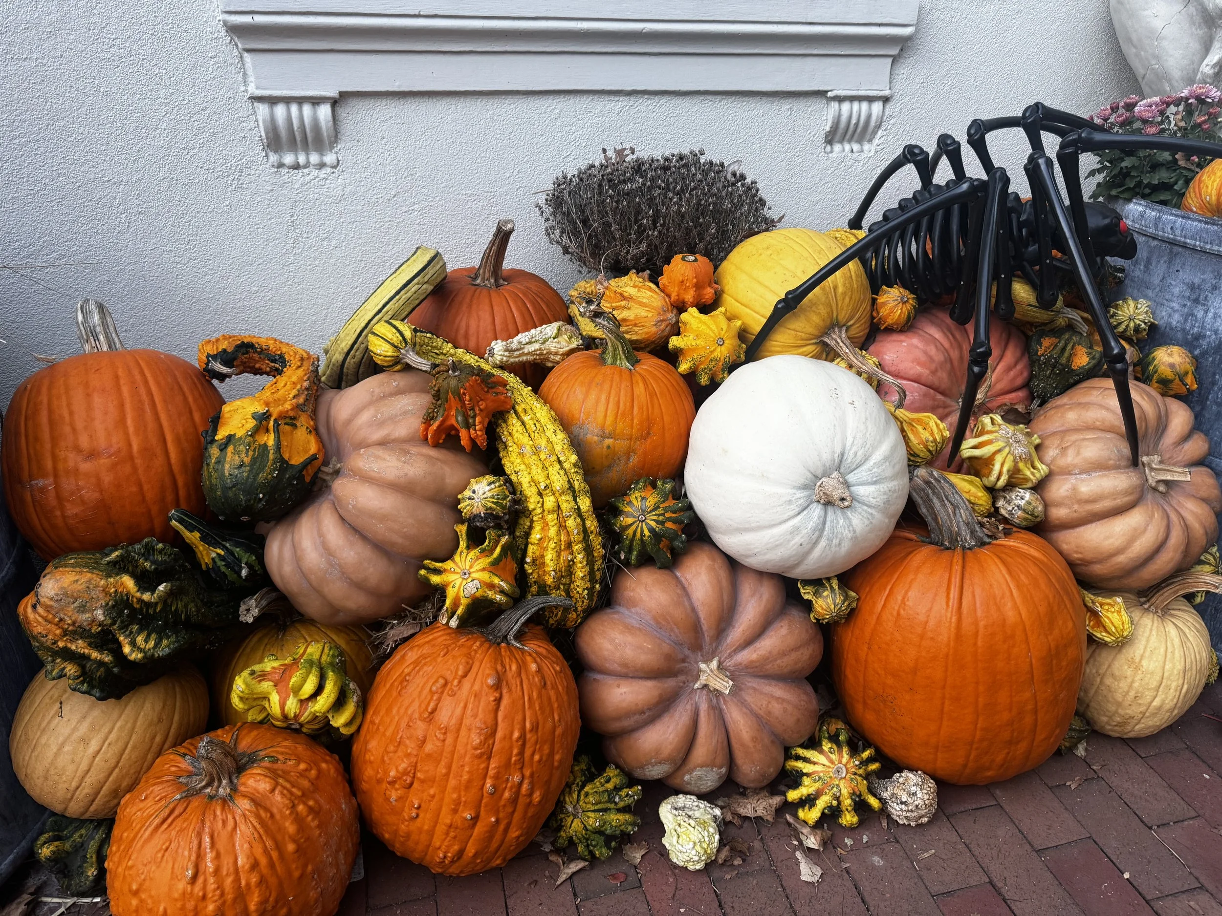 Education and Work: Disruption Ahead