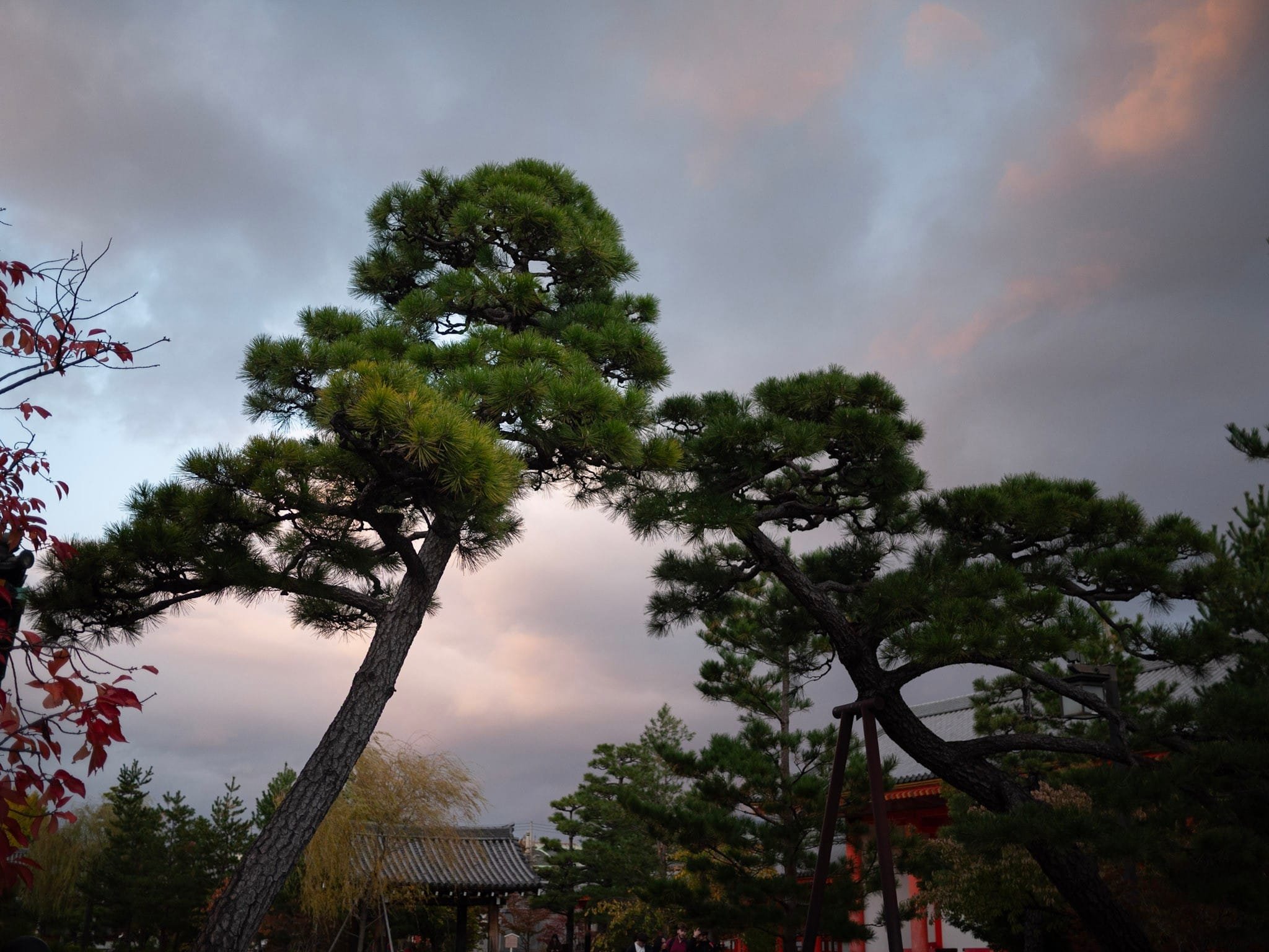 Become More You… and Better