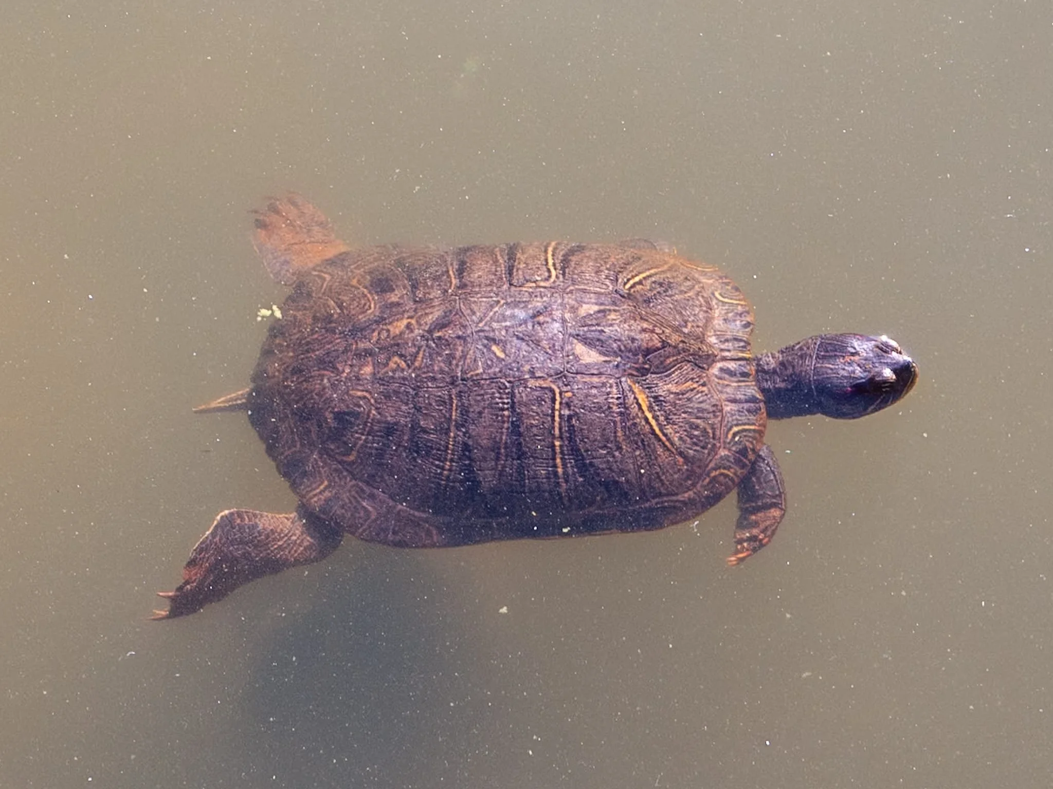 Better Governance Starting Now