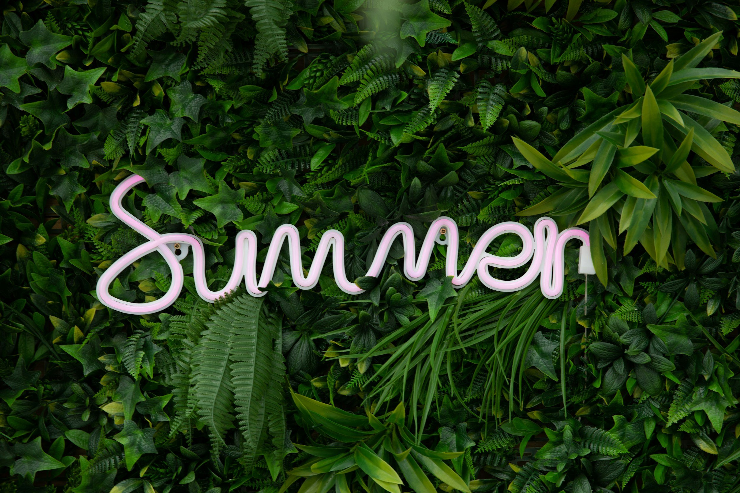 Summer — The Discipline of Full Expression