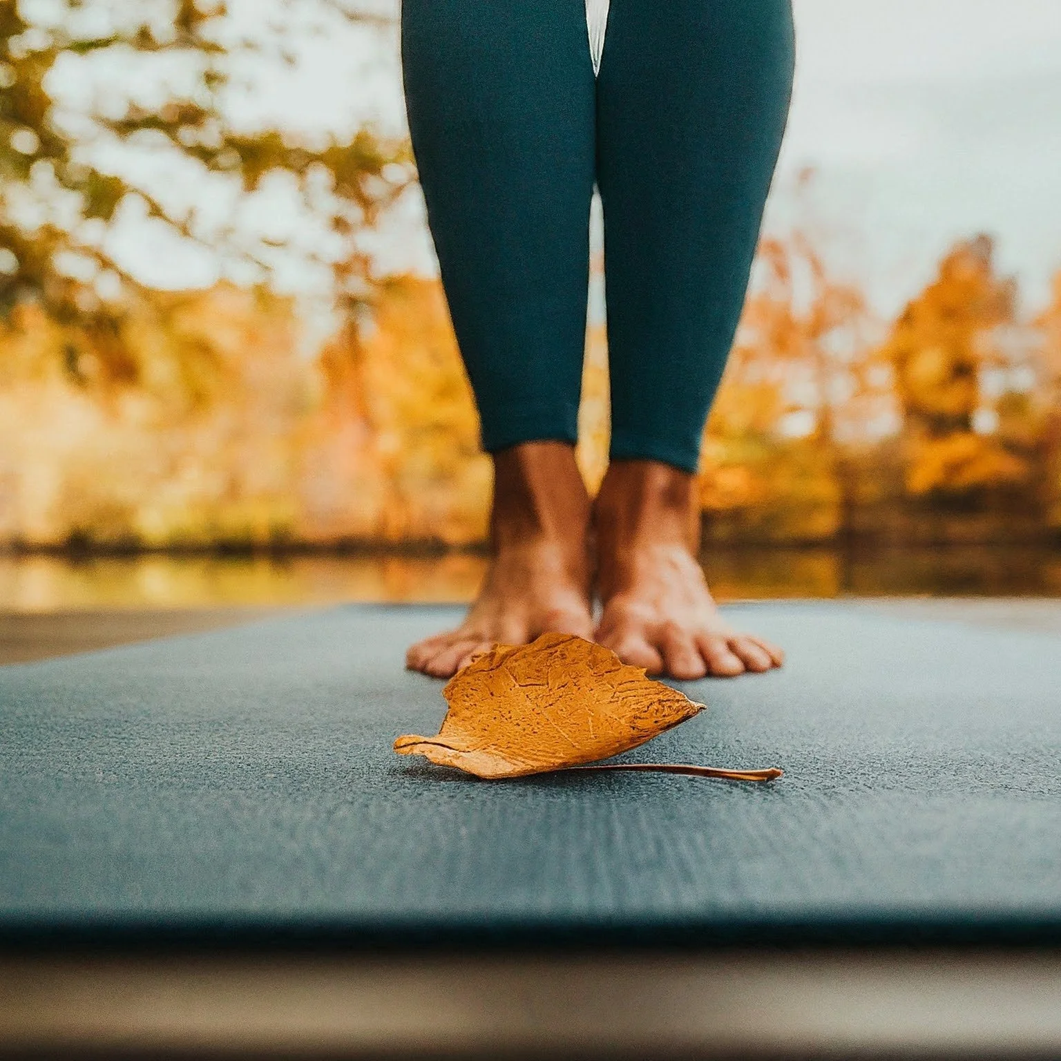 someone standing on a pier, a leaf, outside during a fall day