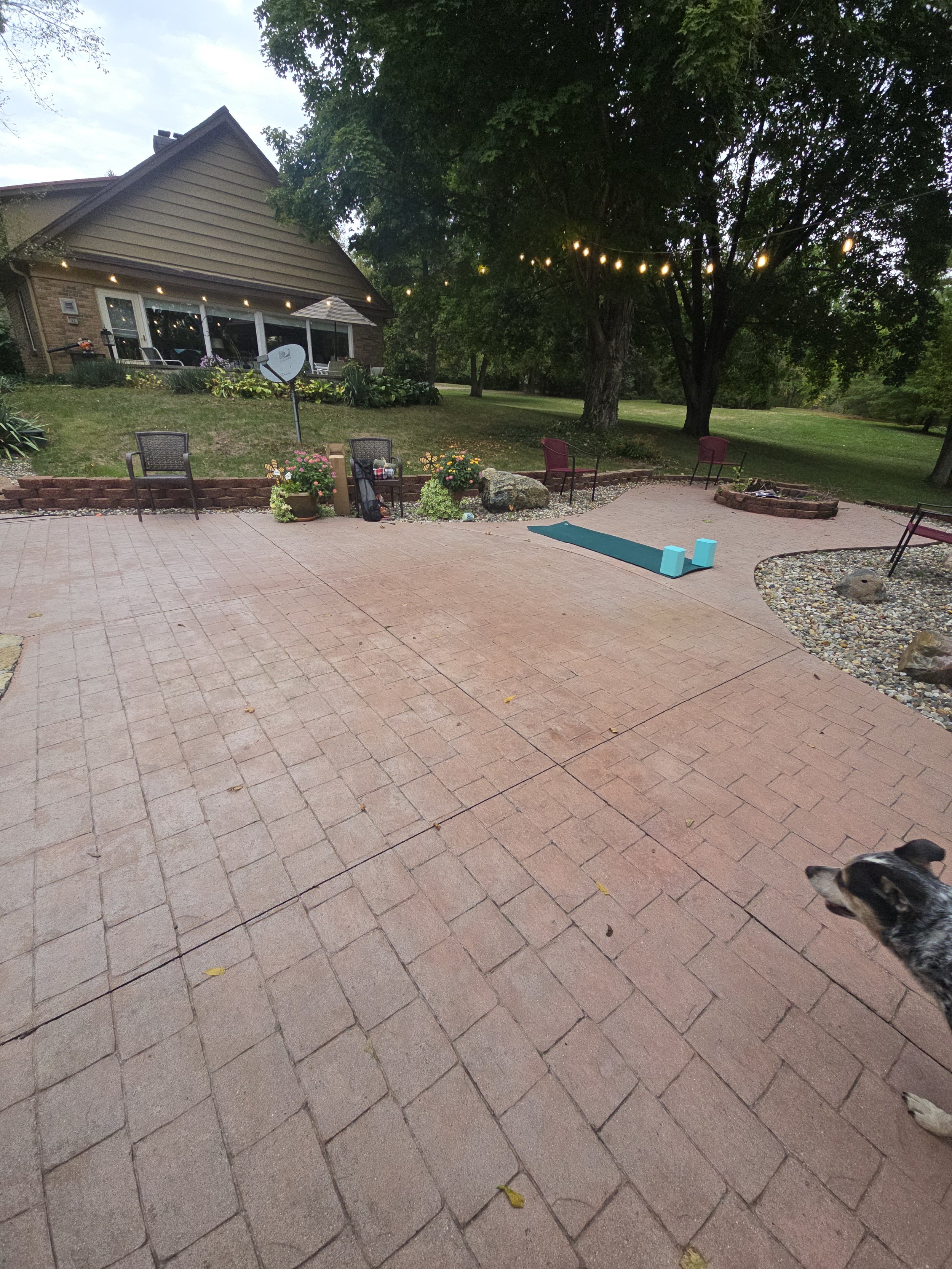 20240926_165802.jpg