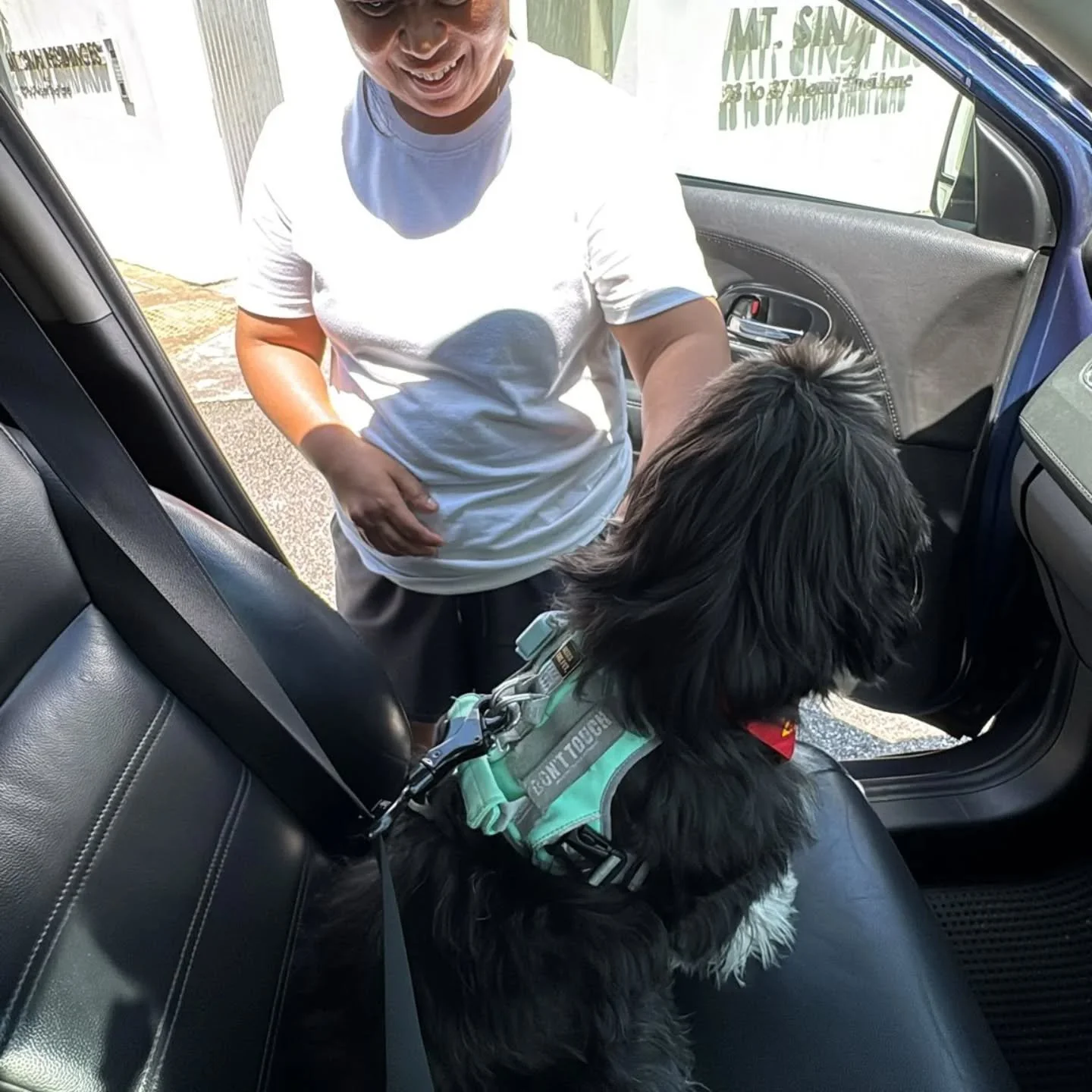 Arrived safe, settled, and already stealing hearts 🐶🐾 #pawpledge #pettaxisg #pettransportsg #sgpettaxi #ridewithpawpledge
