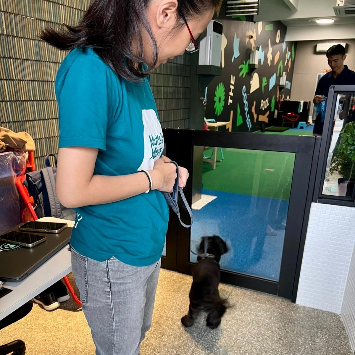 Training door unlocked = happiness unlocked 😄🐾#pawpledge #pettaxisg #pettransportsg #ridewithpawpledge #sgpettaxi