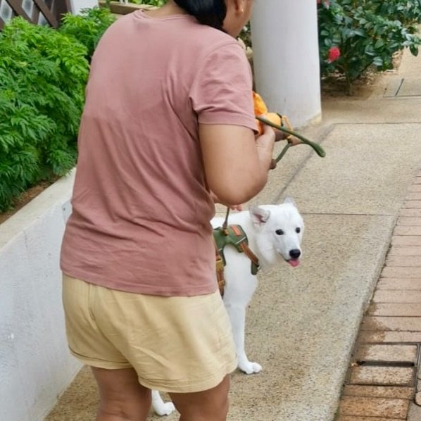 When your passenger double-checks the service 🐶🚖#pawpledge #pettaxisg #pettransportsg #ridewithpawpledge #sgpettaxi
