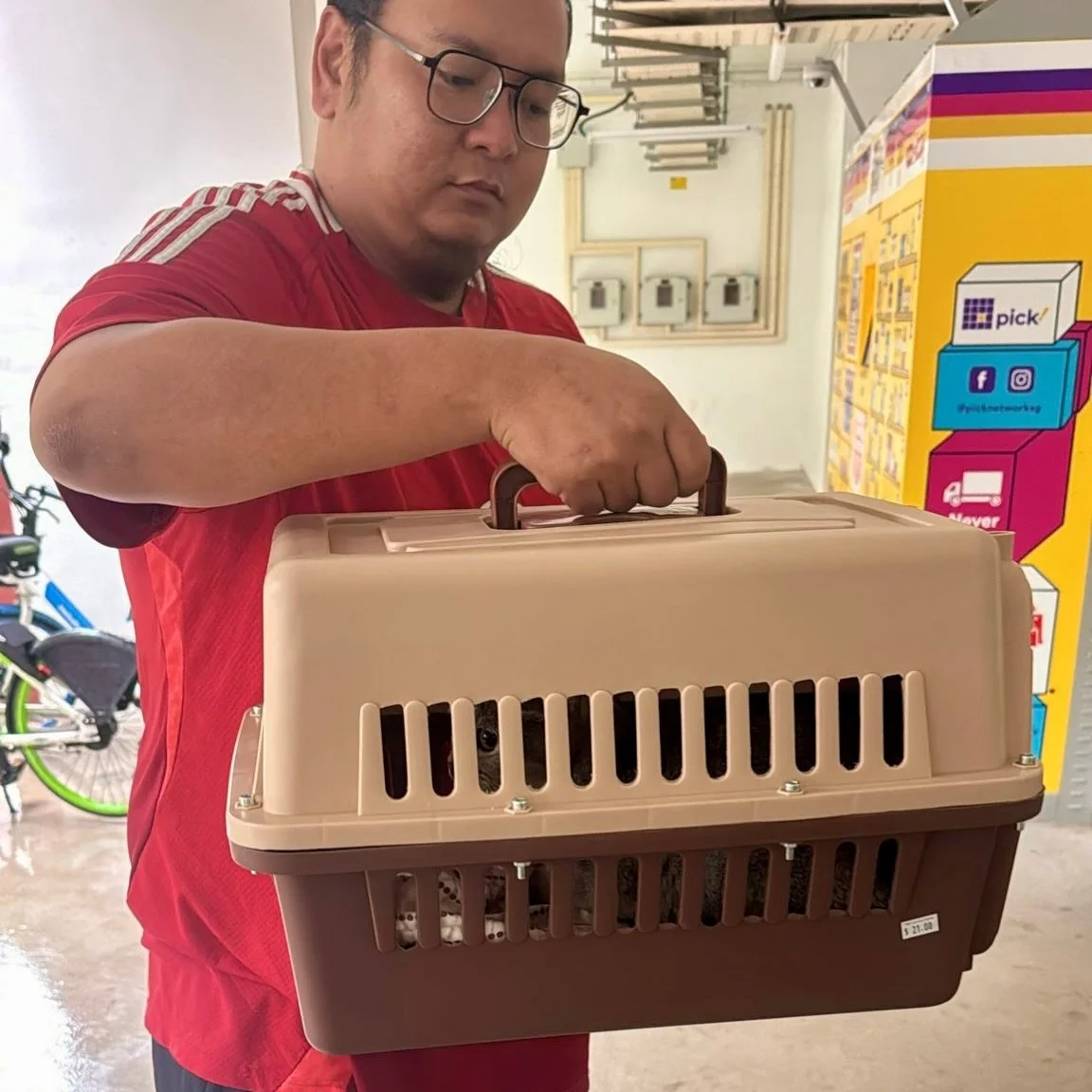 Cat delivered, handover complete 🐱✅ #pawpledge #pettaxisg #pettransportsg #ridewithpawpledge #sgpettaxi