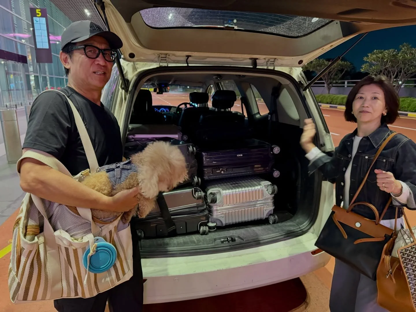 Singapore goodbye - next stop Japan 🐾🇸🇬✈️ #pawpledge #pettaxisg #pettransportsg #ridewithpawpledge #sgpettaxi