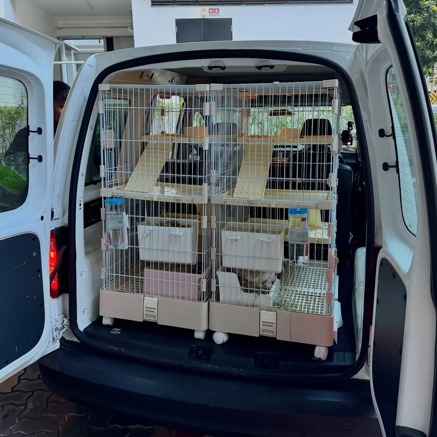 House move day for these two fluffballs 🐰🐰 🚖#pawpledge #pettaxisg #pettransportsg #ridewithpawpledge #sgpettaxi