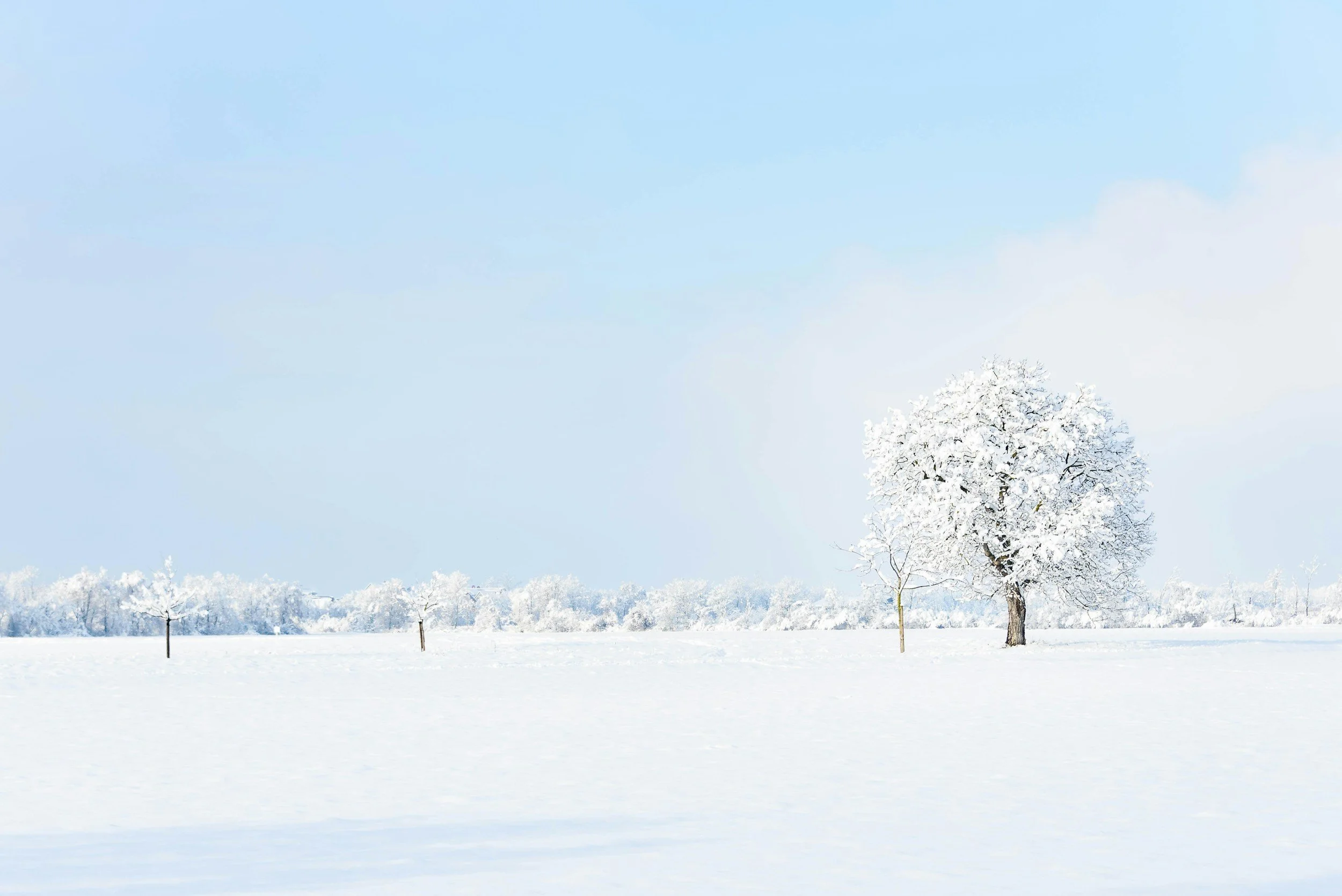 Minnesota Cold Weather Eviction Rule - Myths &amp; Realities