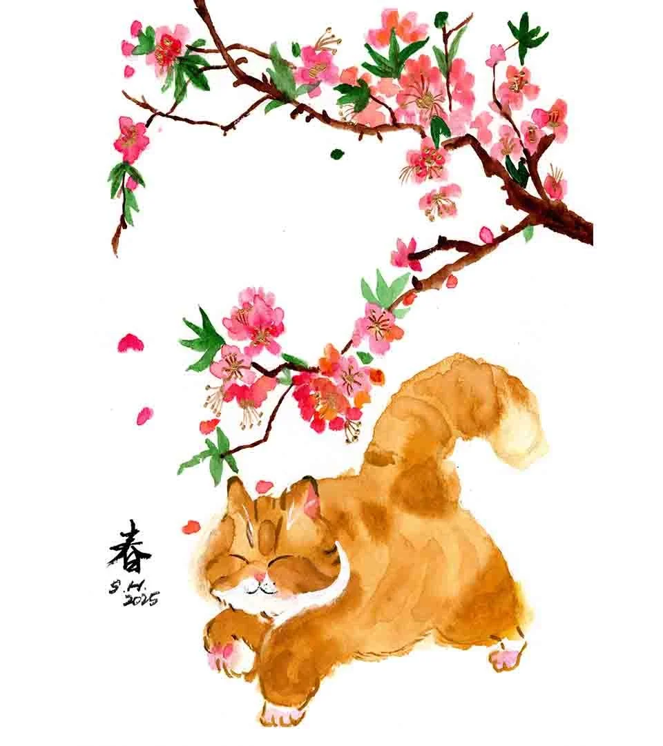 Spring Cat Web.jpg