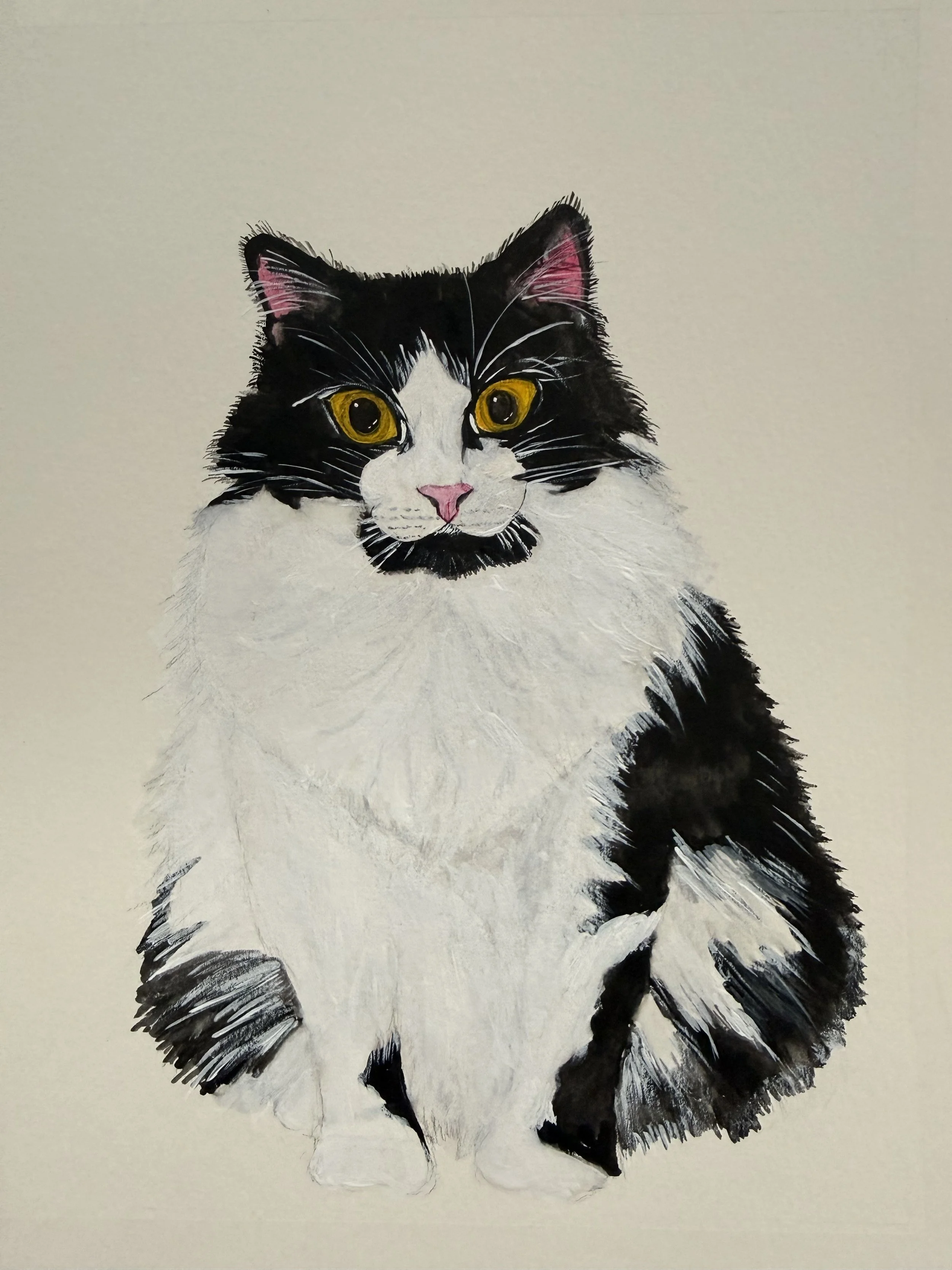 Painted image of a black and white long-haired cat with yellow eyes, pink nose, and pink inside ears on a plain light background.