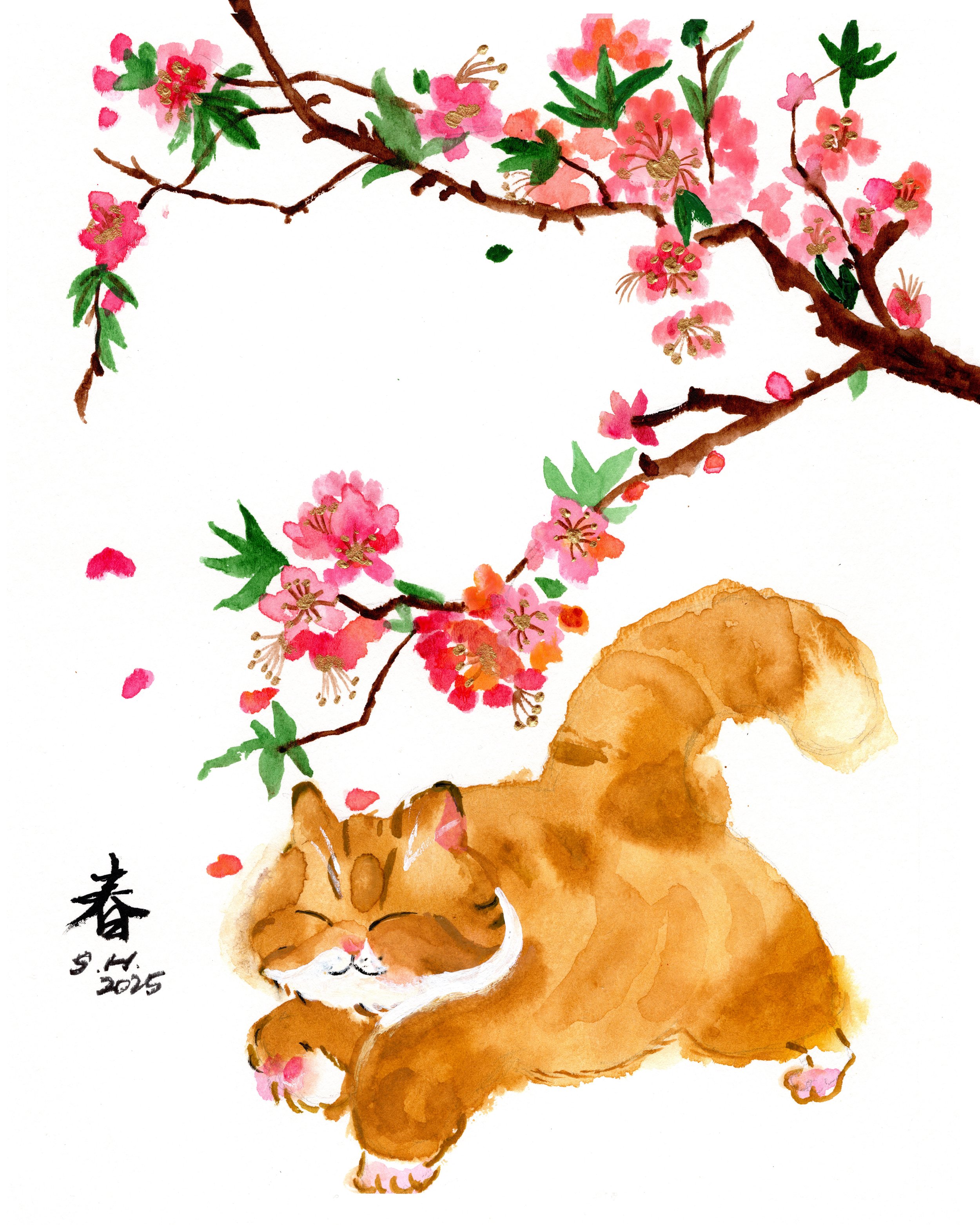 Spring Curiosity