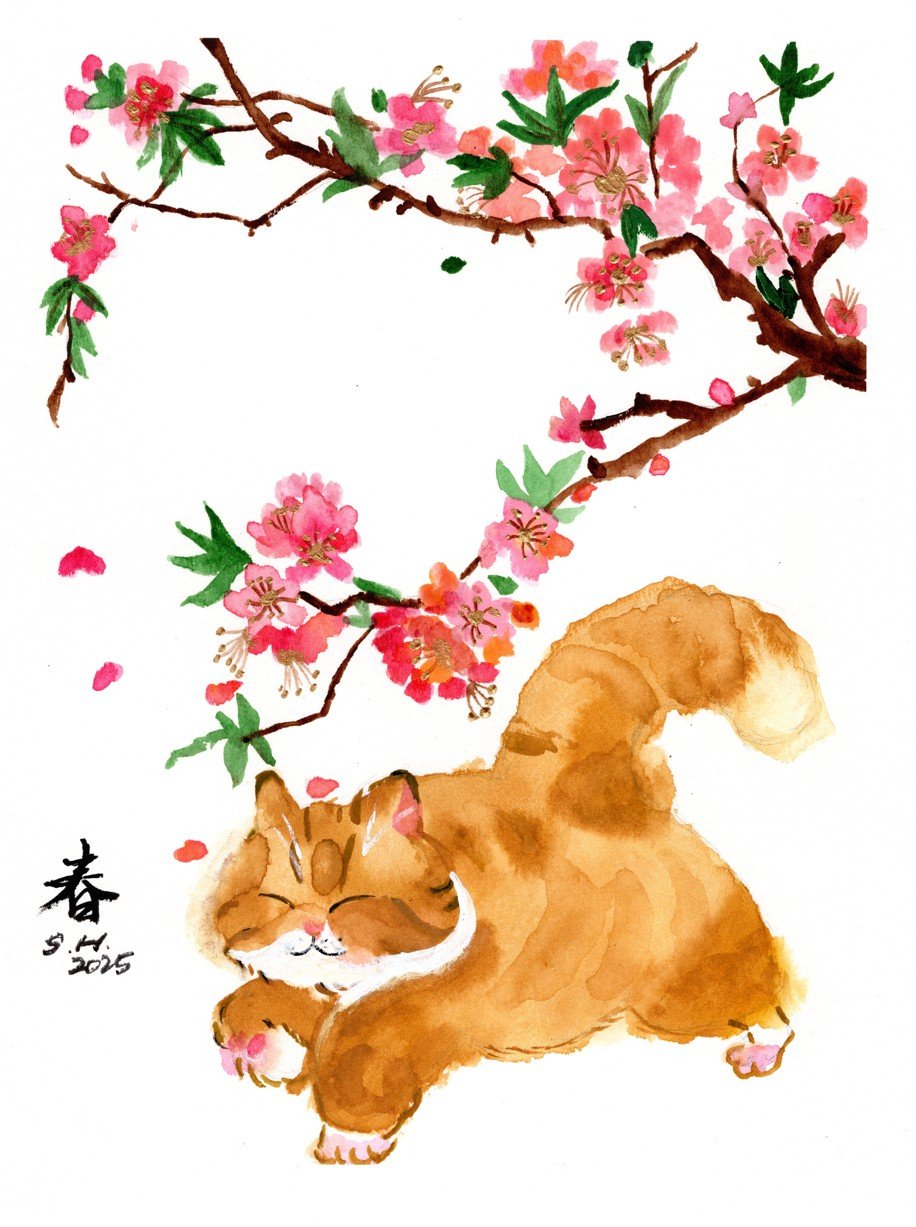 Spring Curiosity