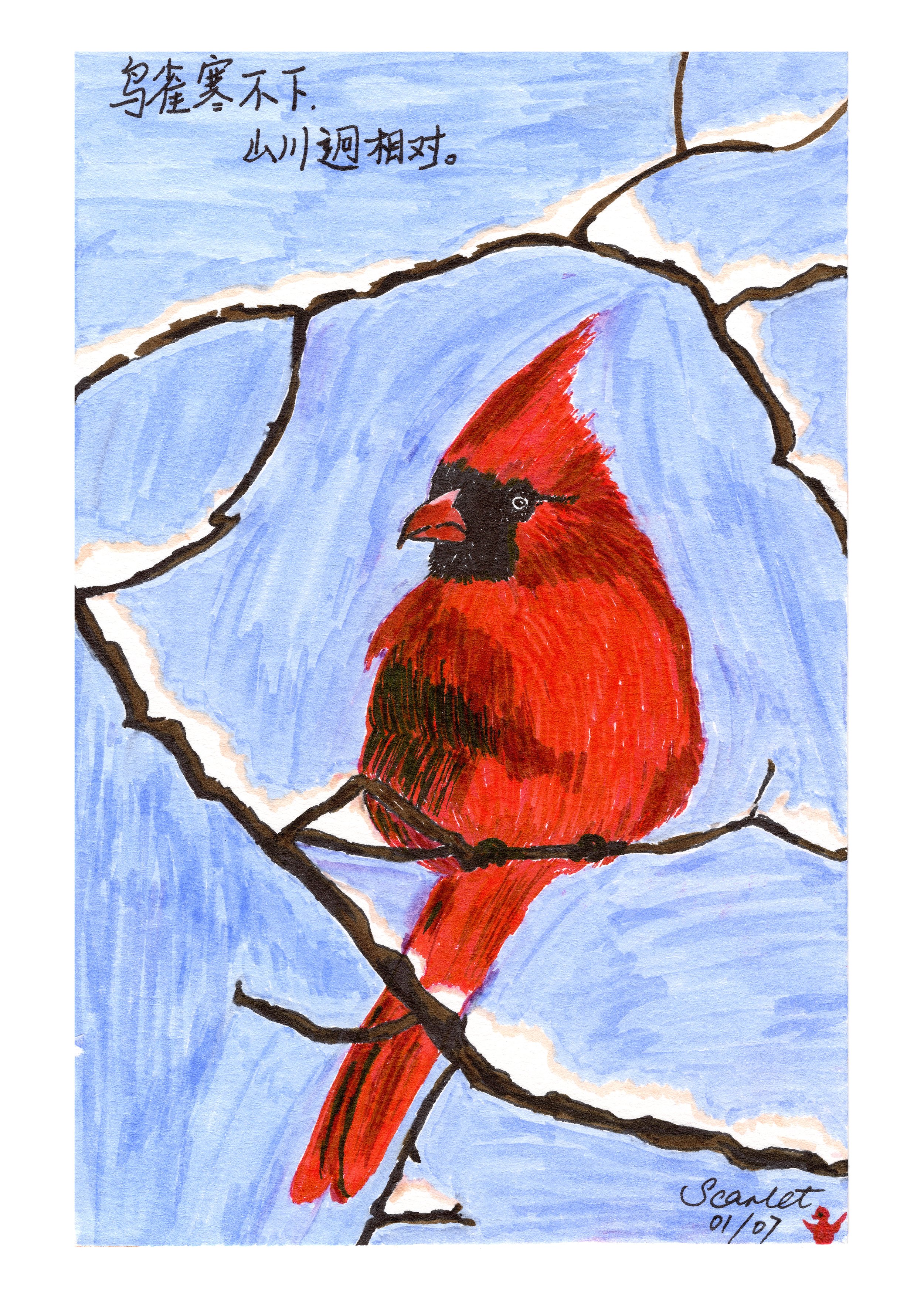 Cardinal on Snowy Branch