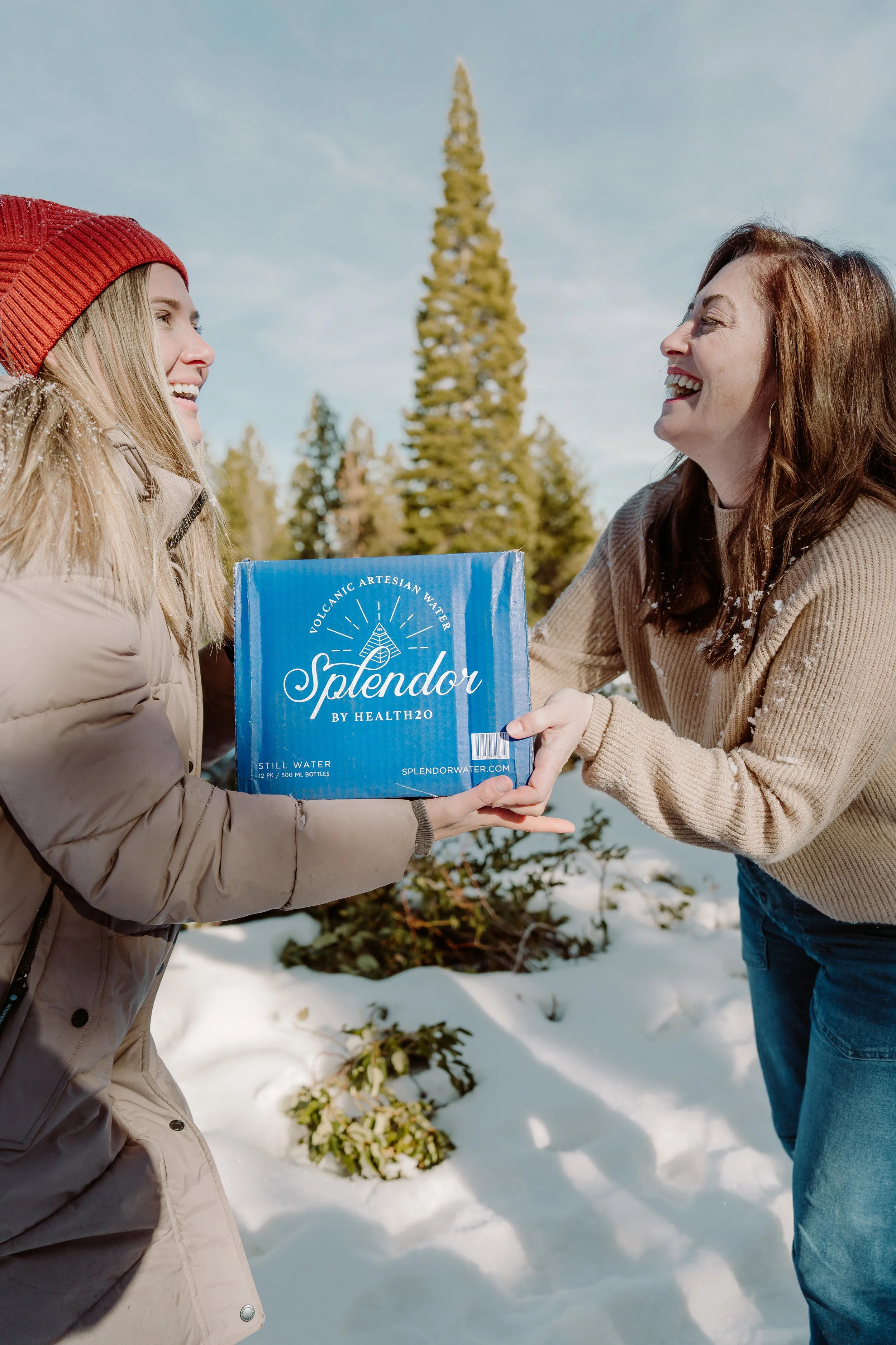 Splendor Snow Campaign 2024