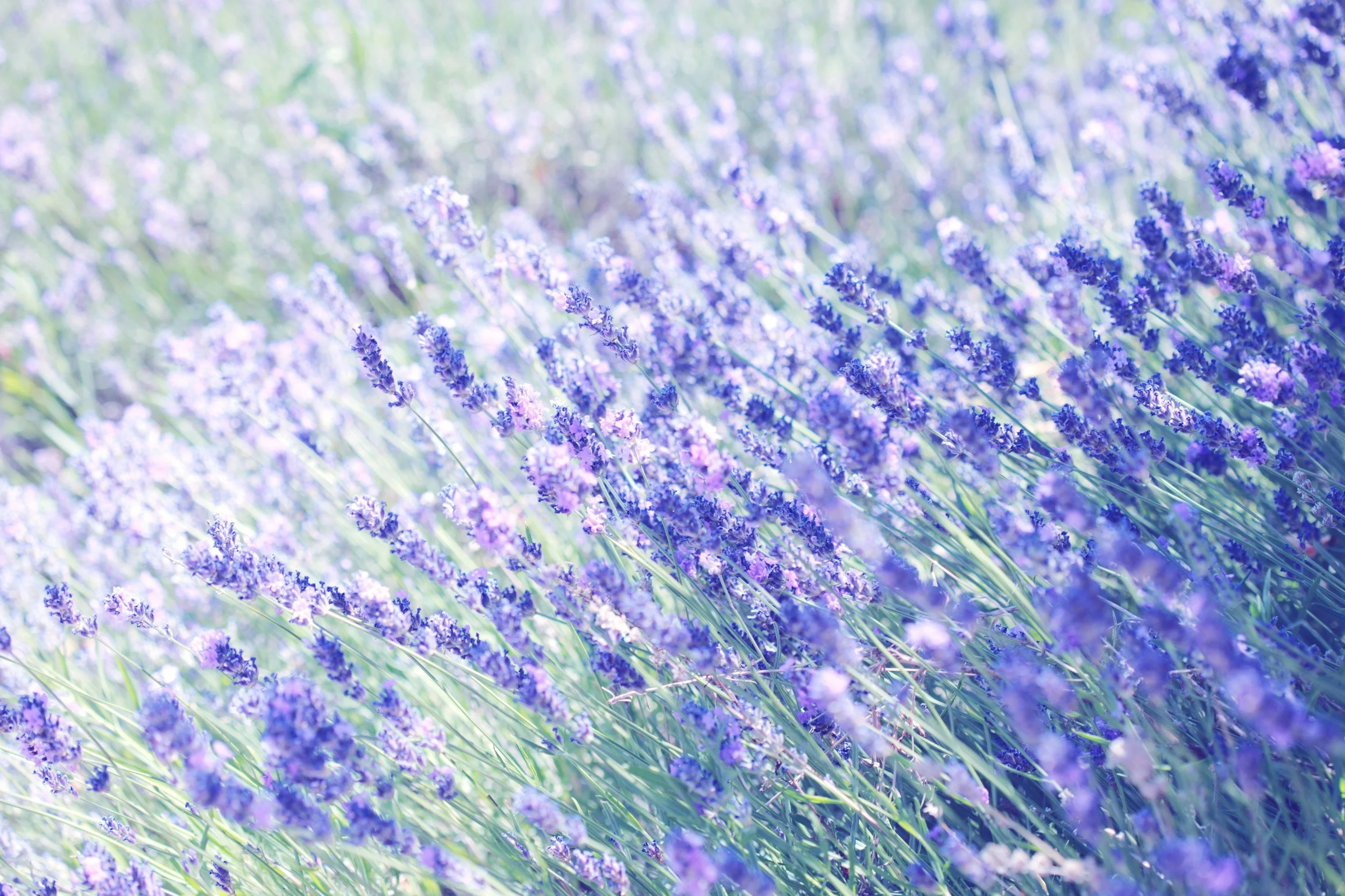 Naturopathy