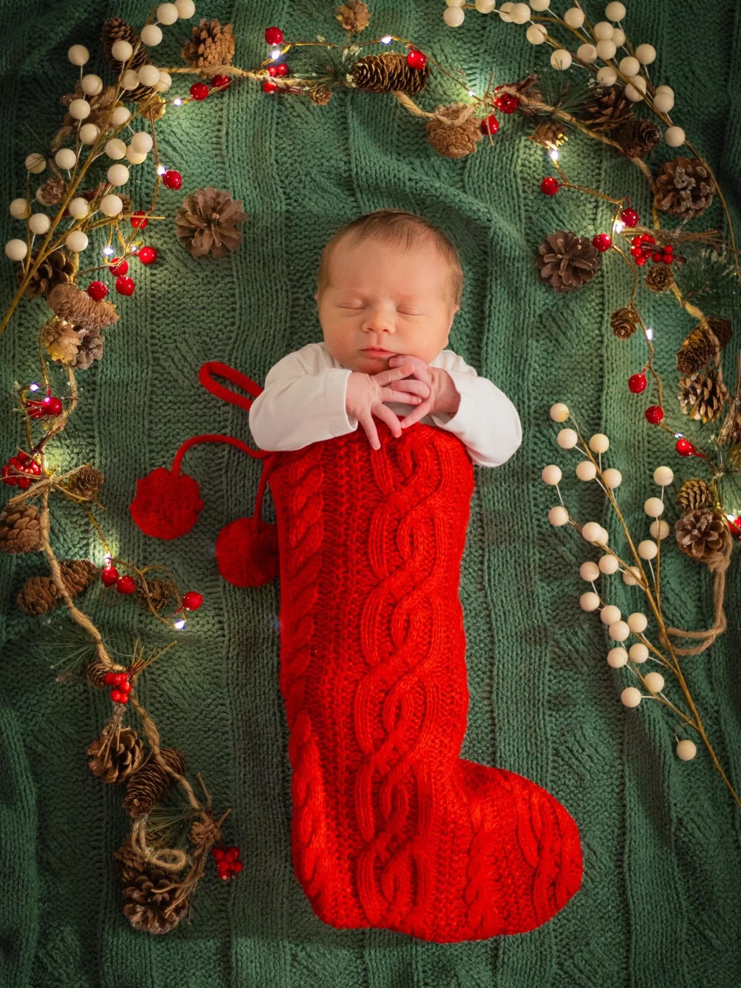 Just a little nugget joining the fam this holiday season!