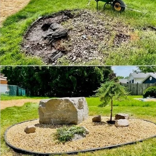 Low maintenance landscaping 