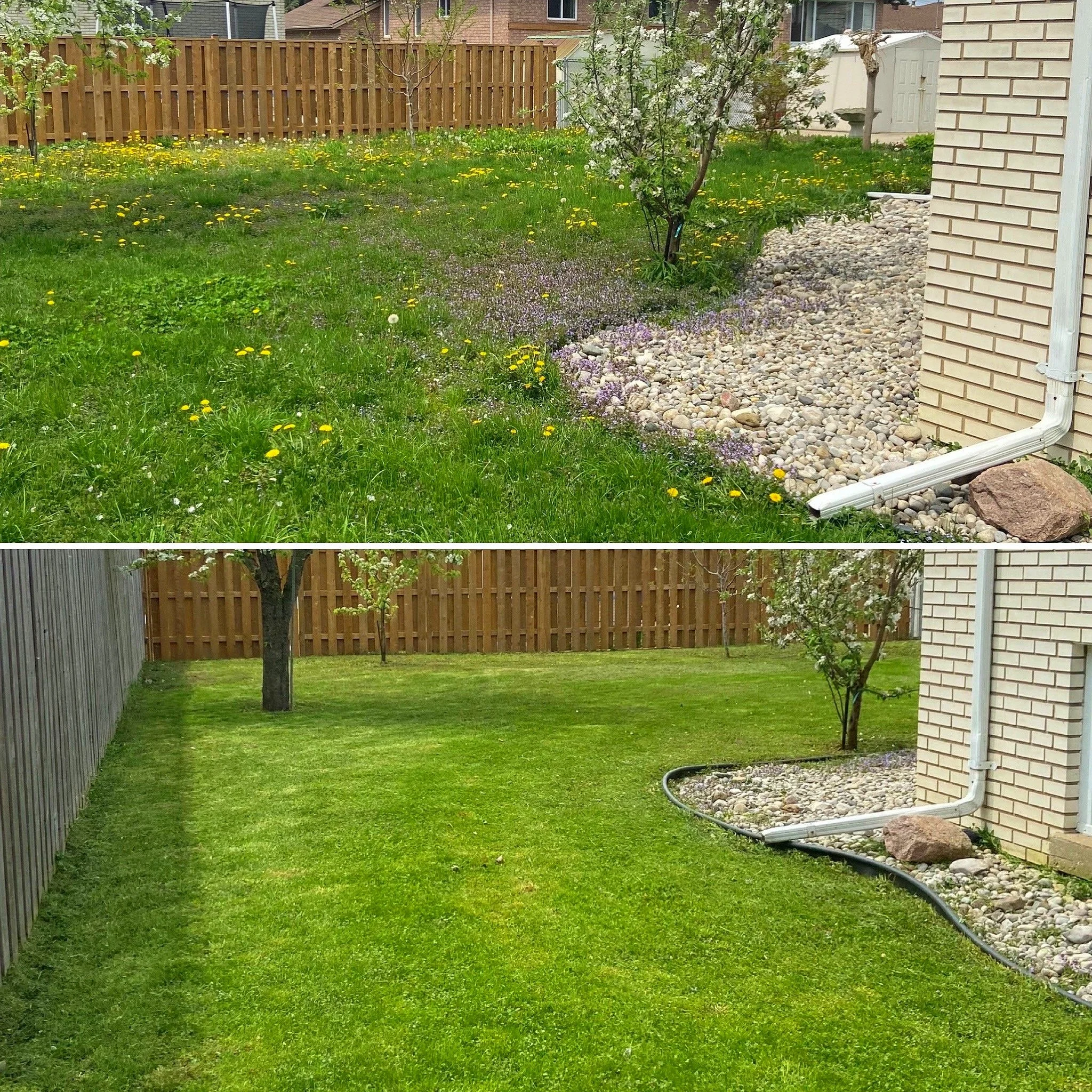 Lawn Mowing - weekly and bi-weekly 
