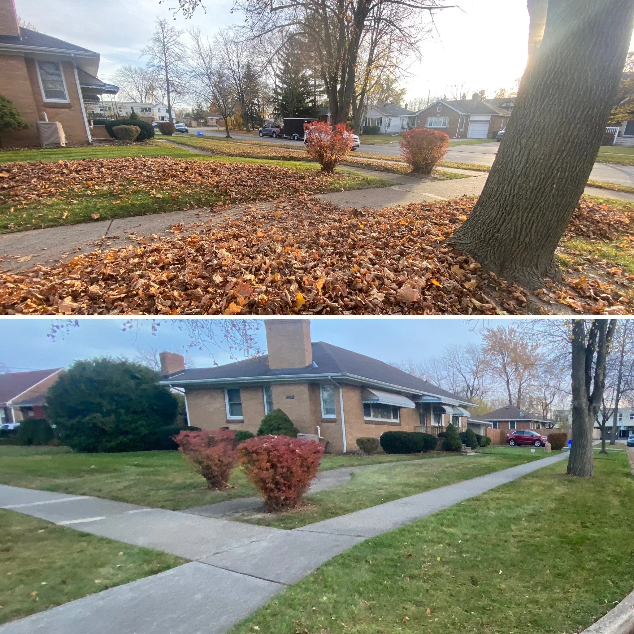 Fall clean up 