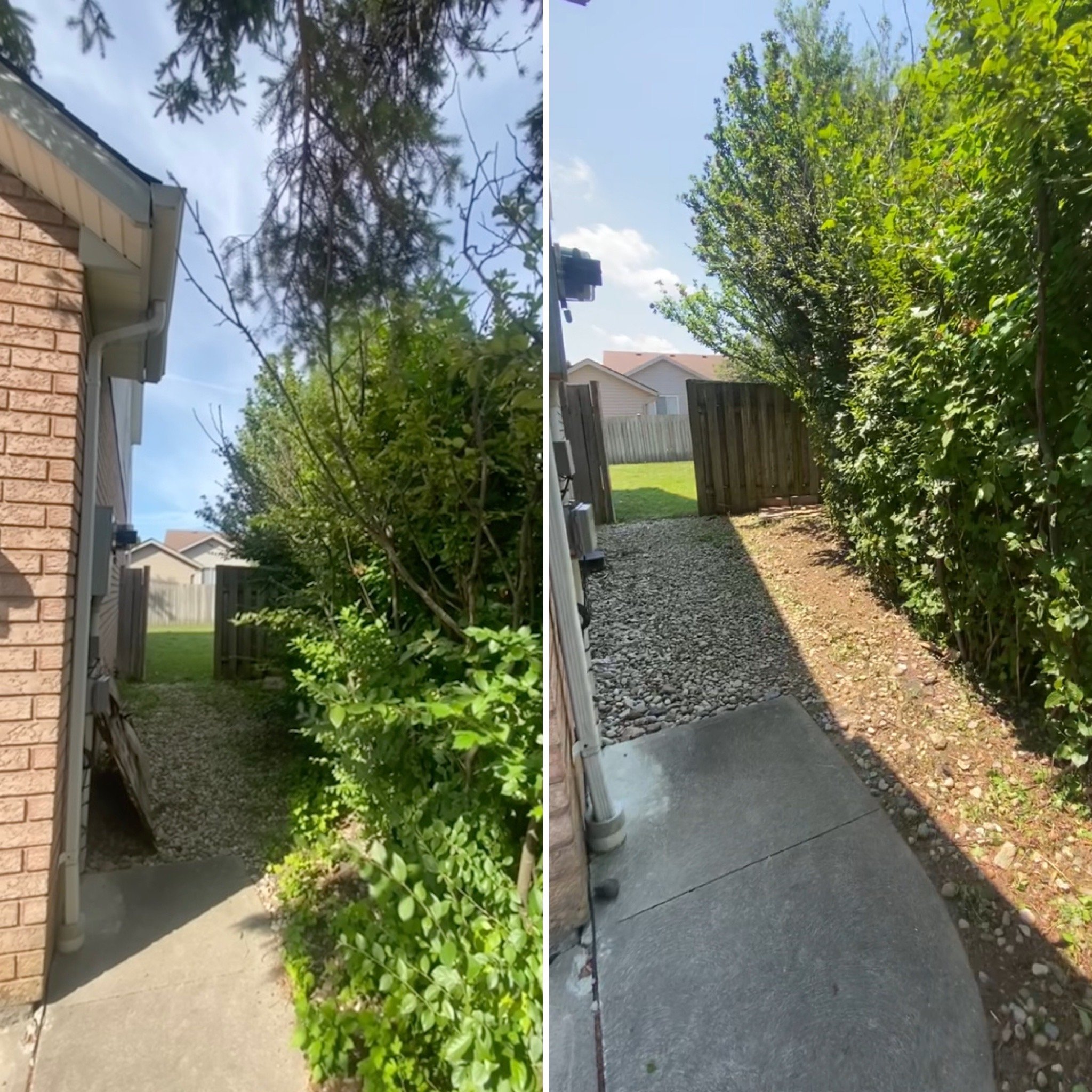 Hedge and tree trimming